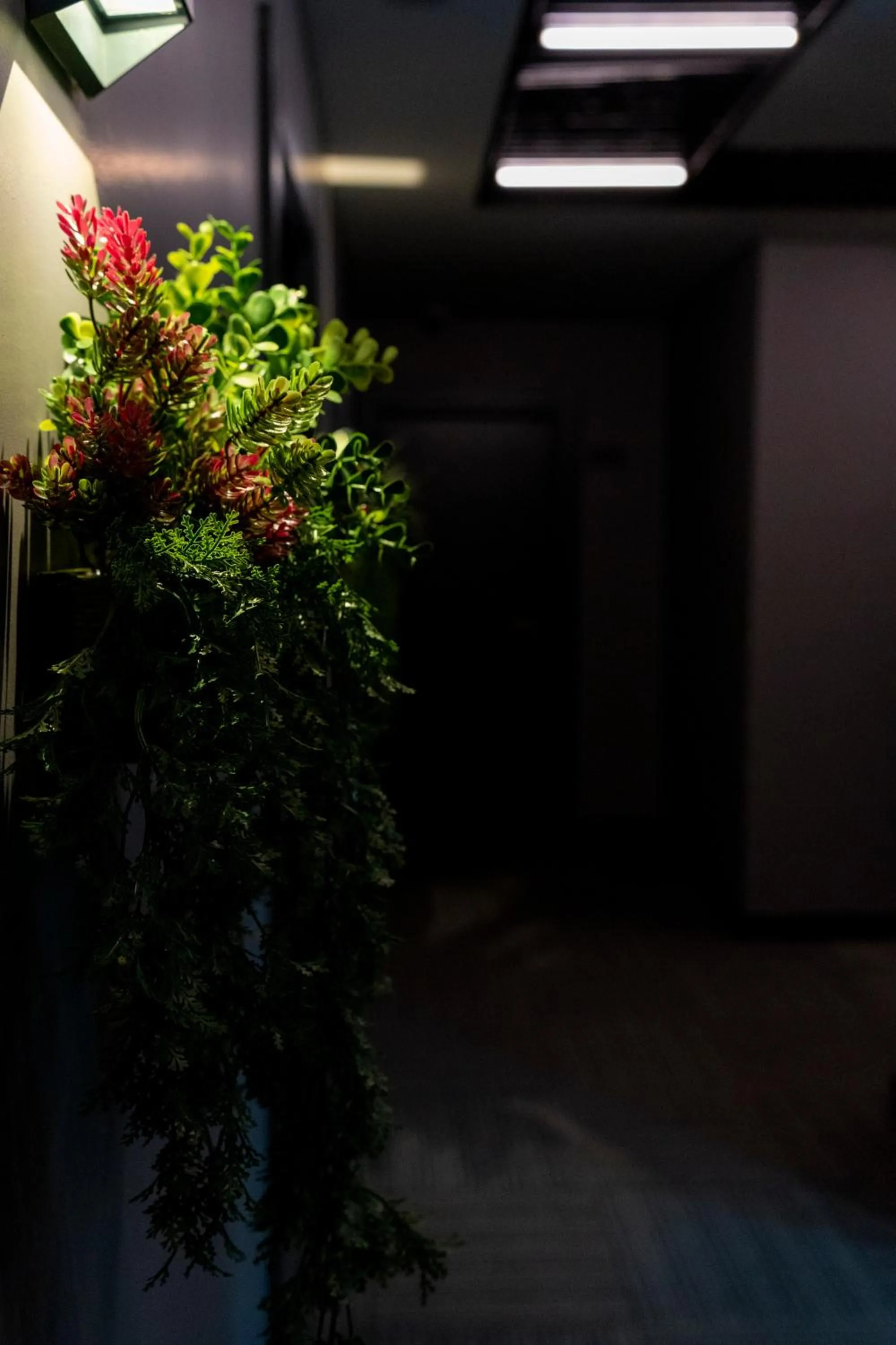 On site in BRANDROOM HOTEL