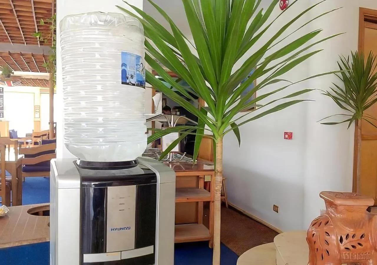 Drinks in Red Sea Relax Hotel