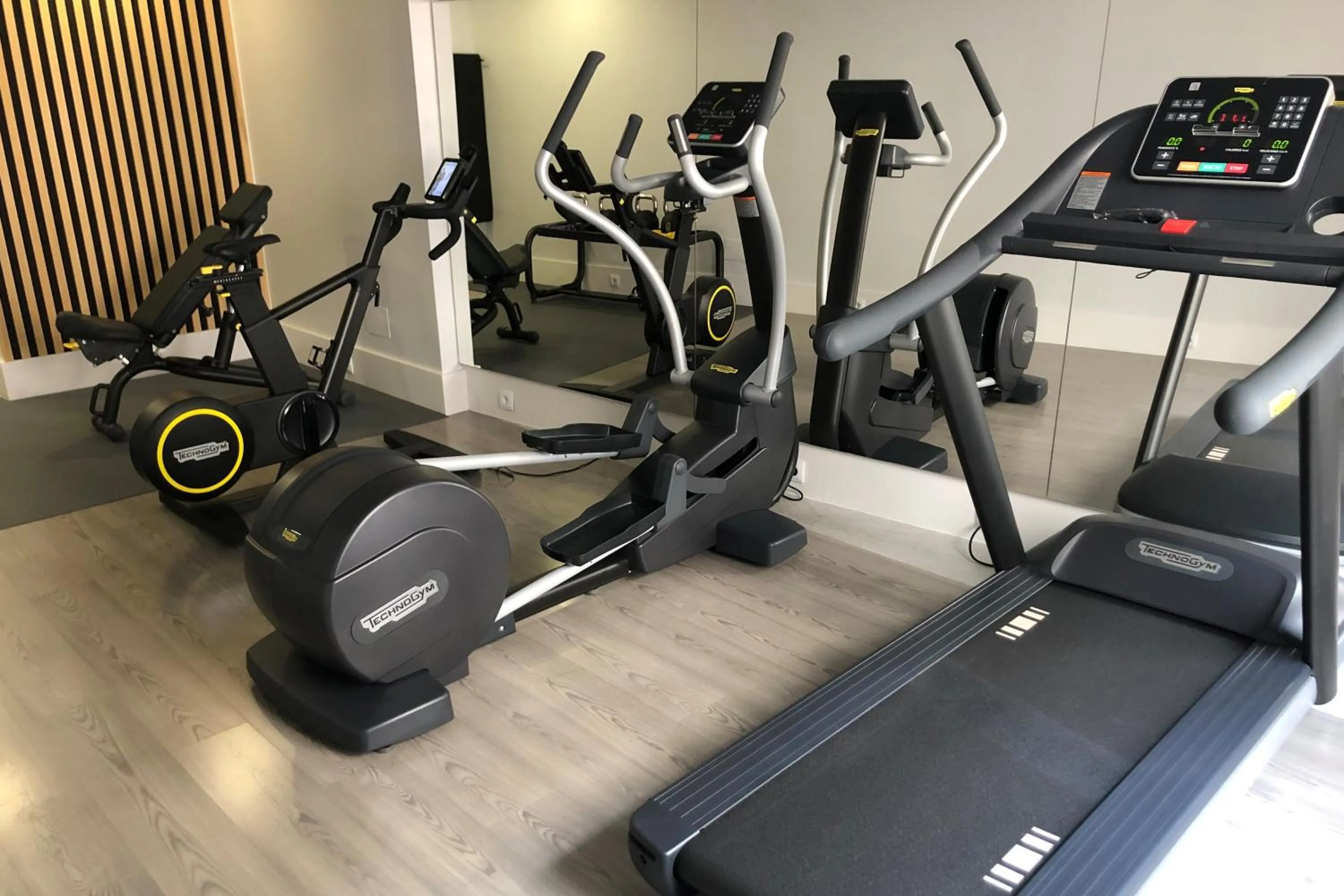 Fitness centre/facilities in Suites Viena Plaza de España