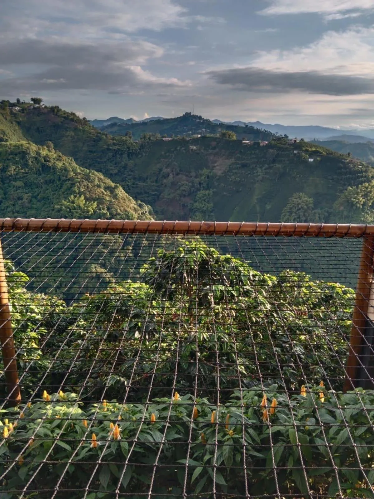 Natural landscape in Atardeceres del Cafe