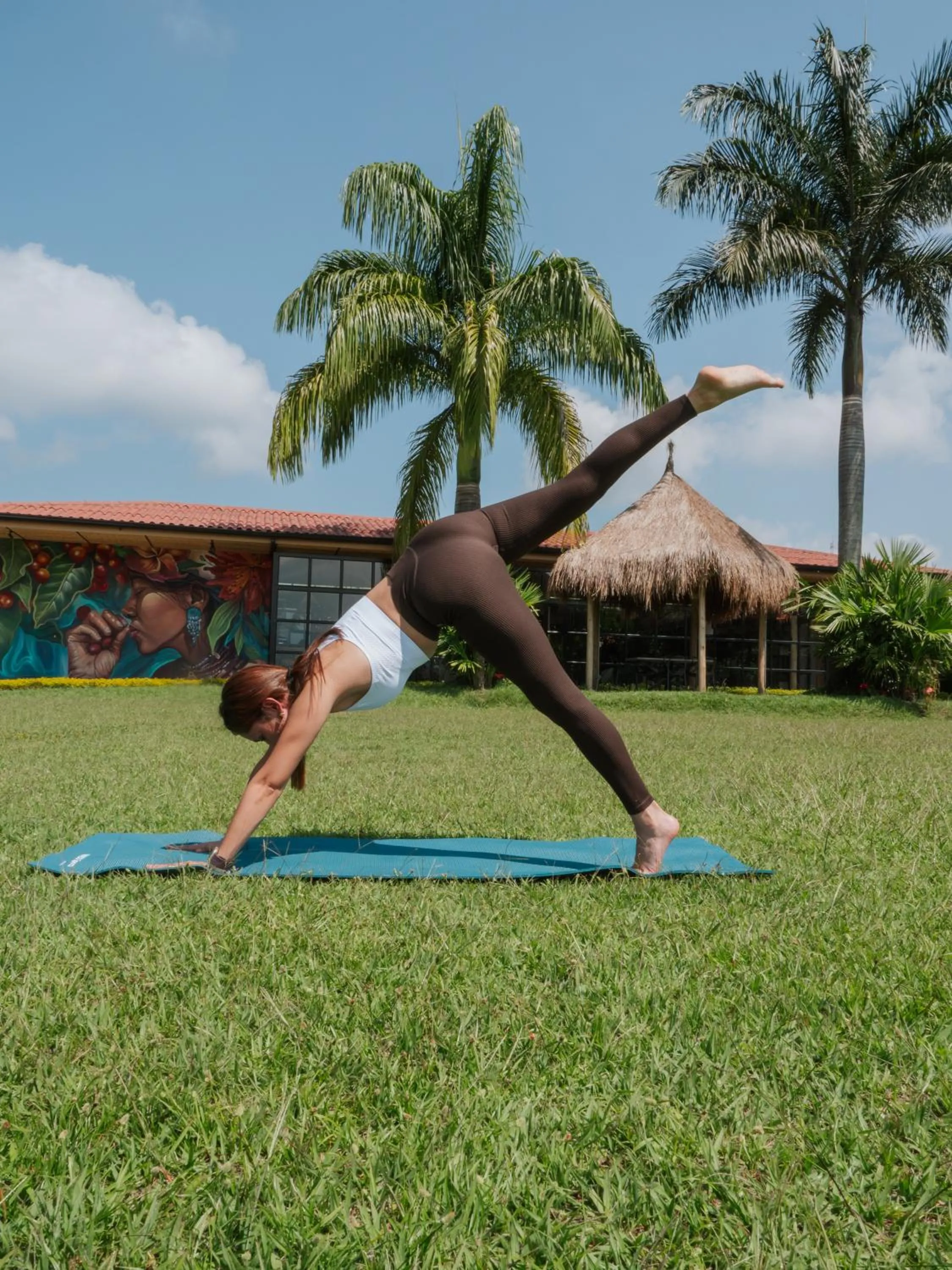 Garden in Atardeceres del Cafe