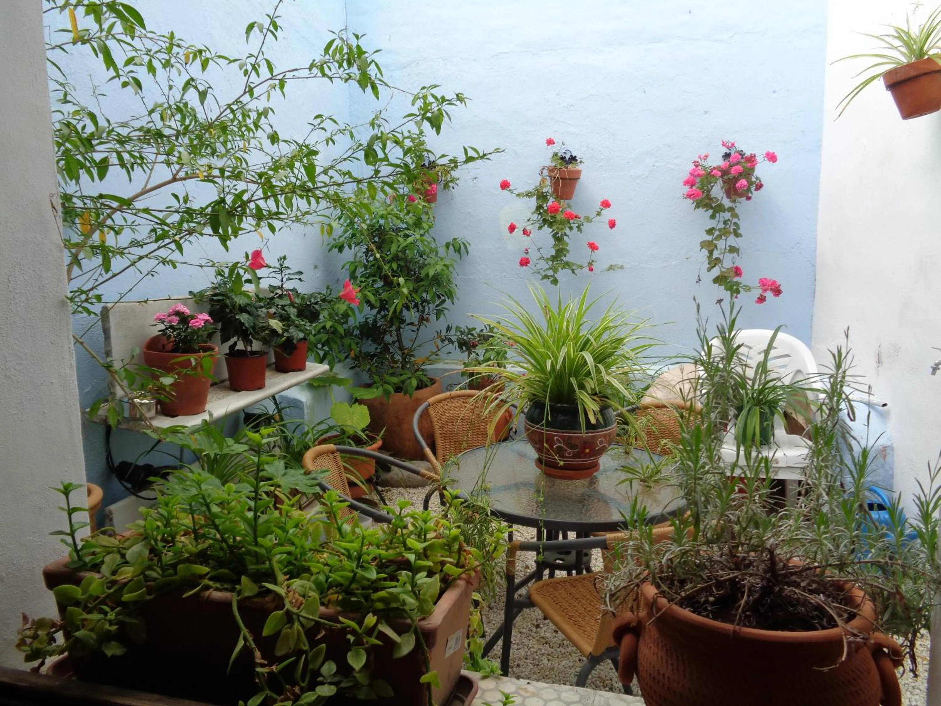 Balcony/Terrace in Hotel Boutique Nueve Leyendas