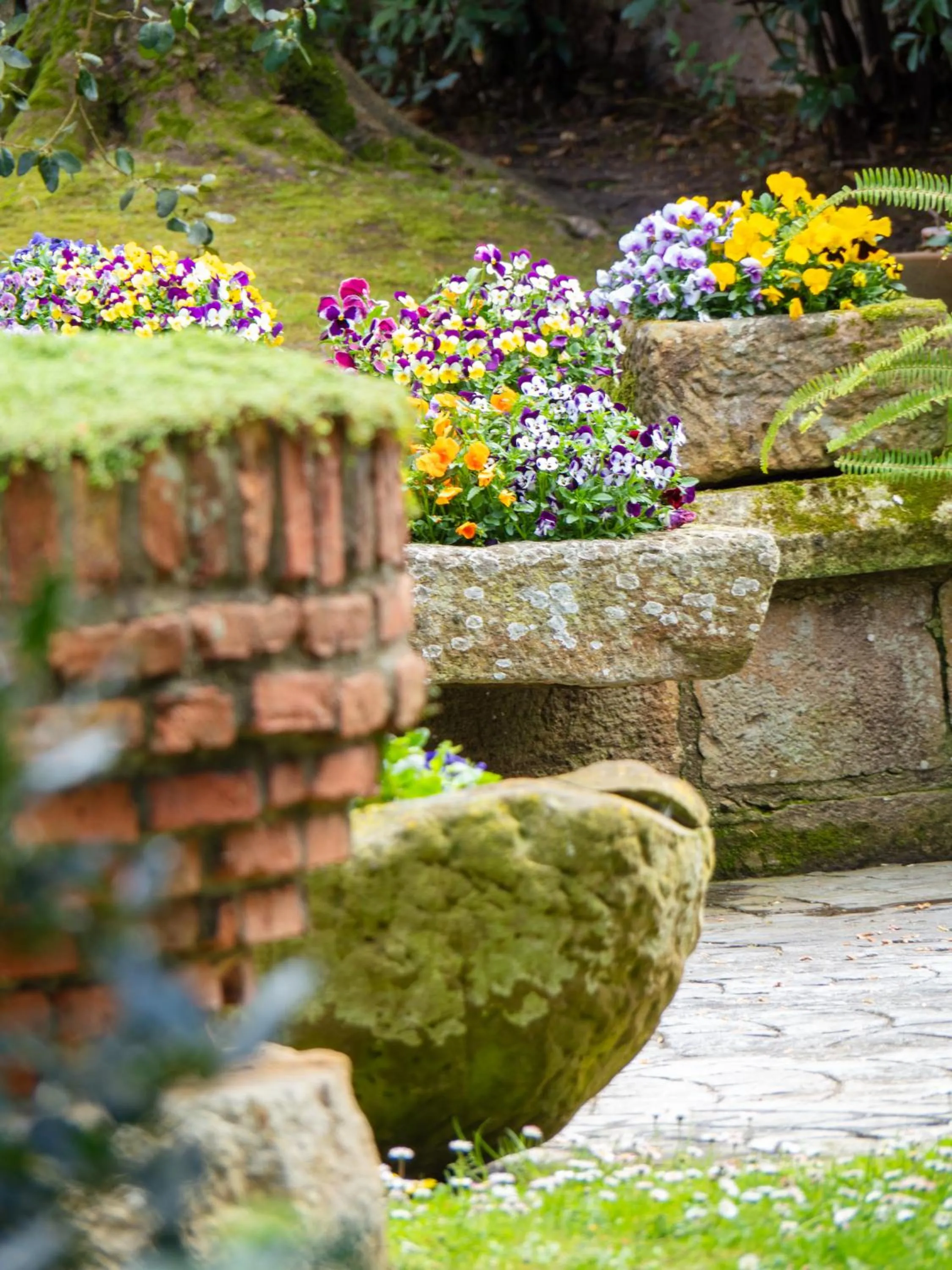 Garden in Hotel Casa del Marqués