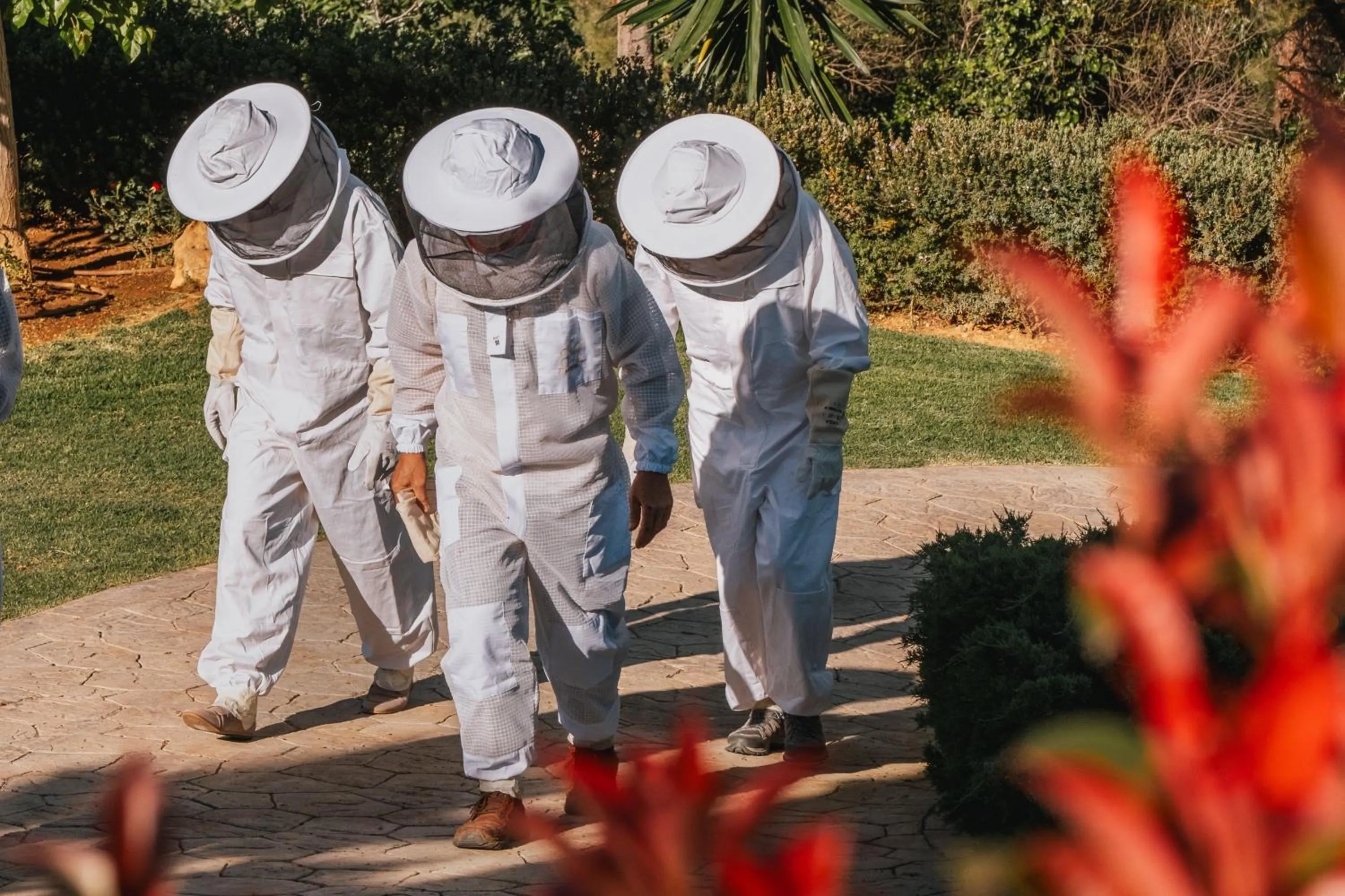 Other in Castillo Hotel Son Vida, a Luxury Collection Hotel, Mallorca