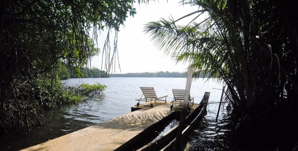 Mangrove villa - Yoga & Ayurveda