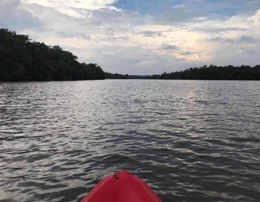 Mangrove villa - Yoga & Ayurveda