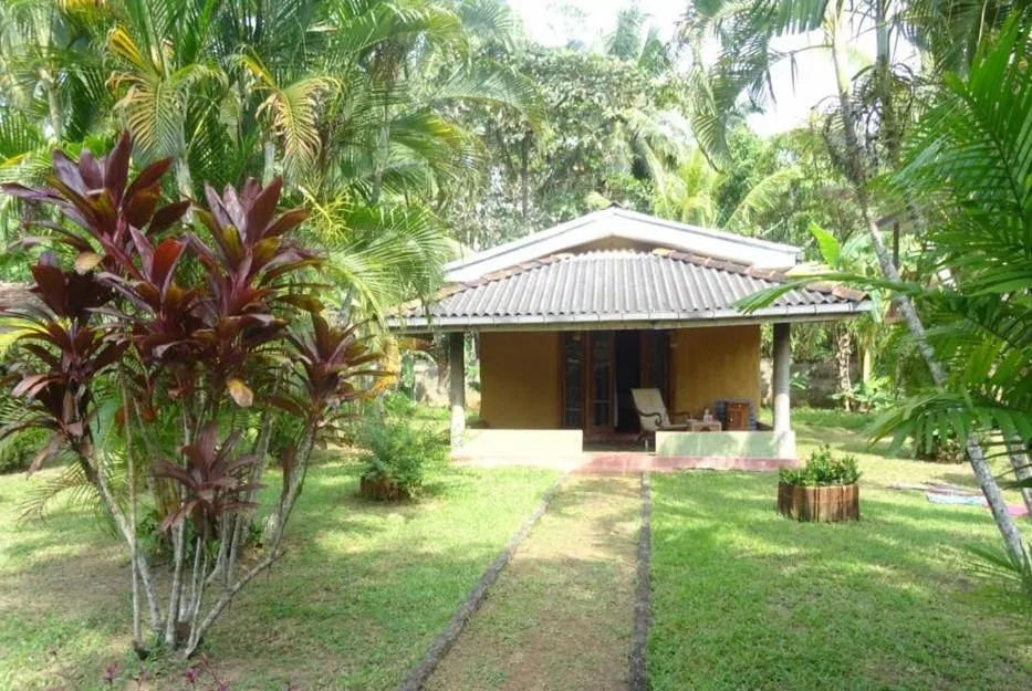 Mangrove villa - Yoga & Ayurveda