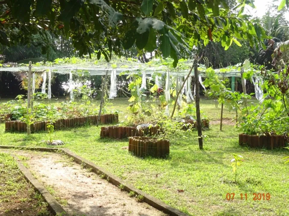 Mangrove villa - Yoga & Ayurveda