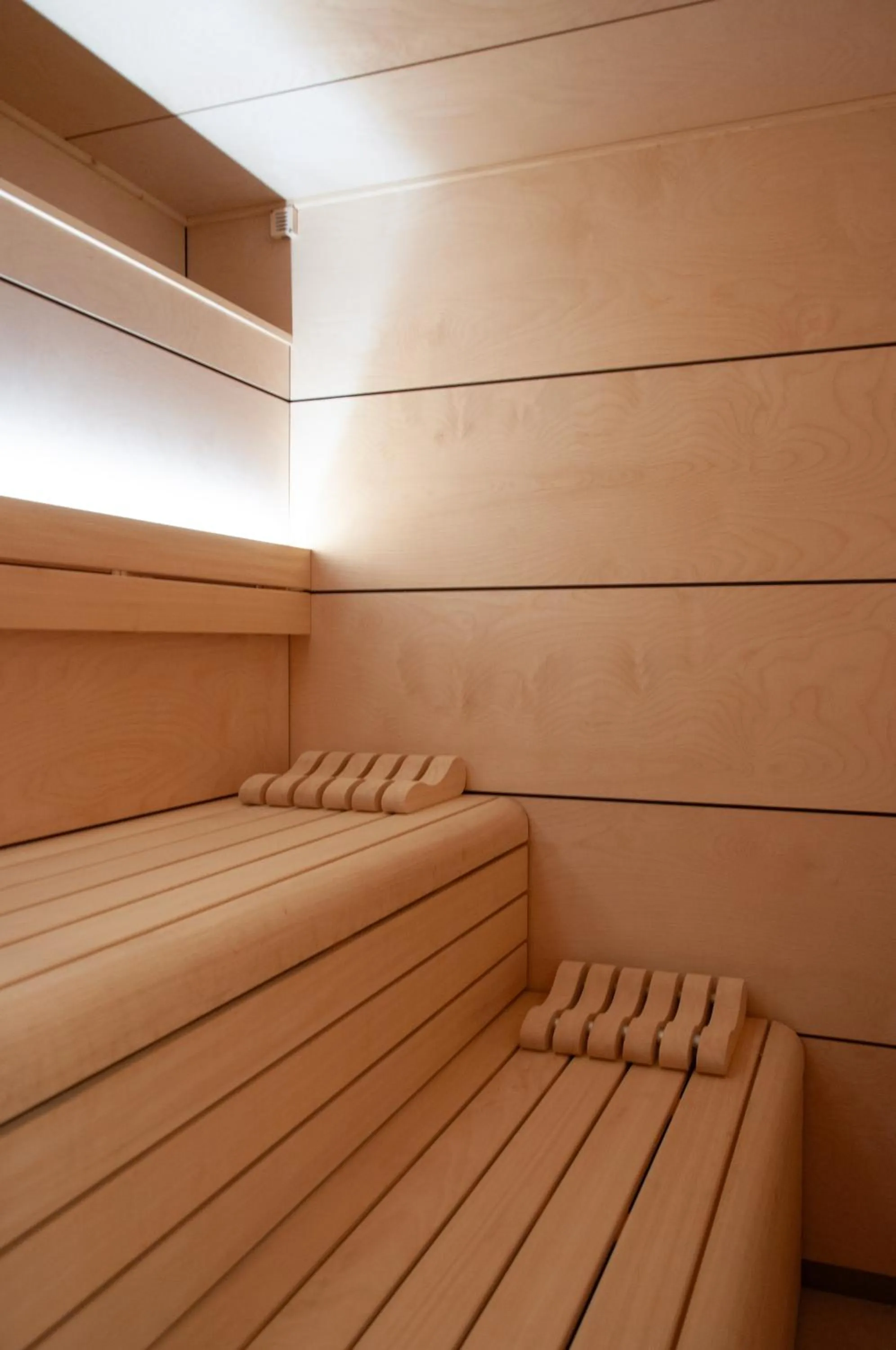 Sauna in Hotel Na Taconera