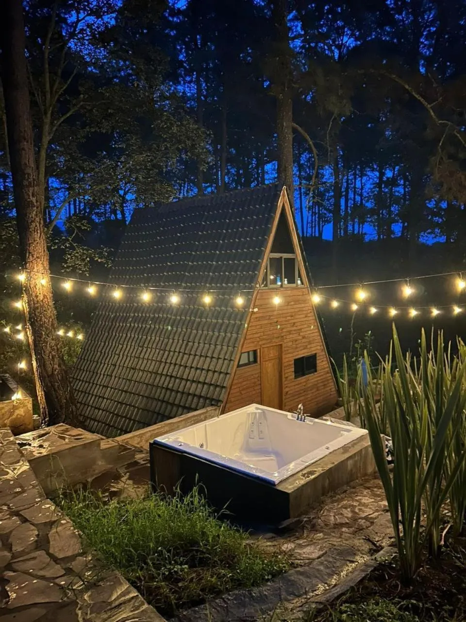 Off site in PINE TREE Mazamitla Hotel Boutique & Cabañas