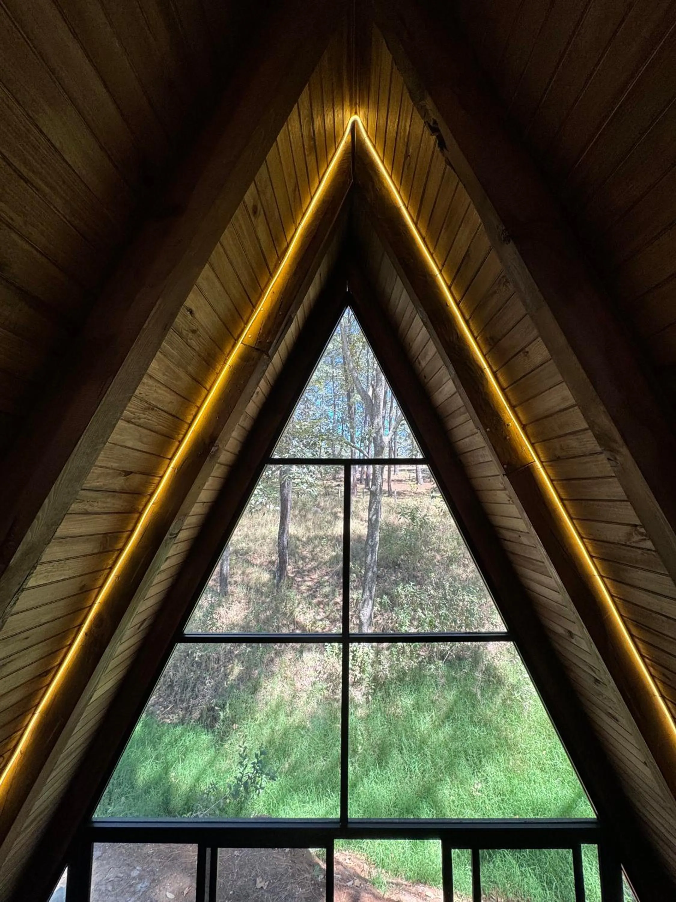 Garden view in PINE TREE Mazamitla Hotel Boutique & Cabañas