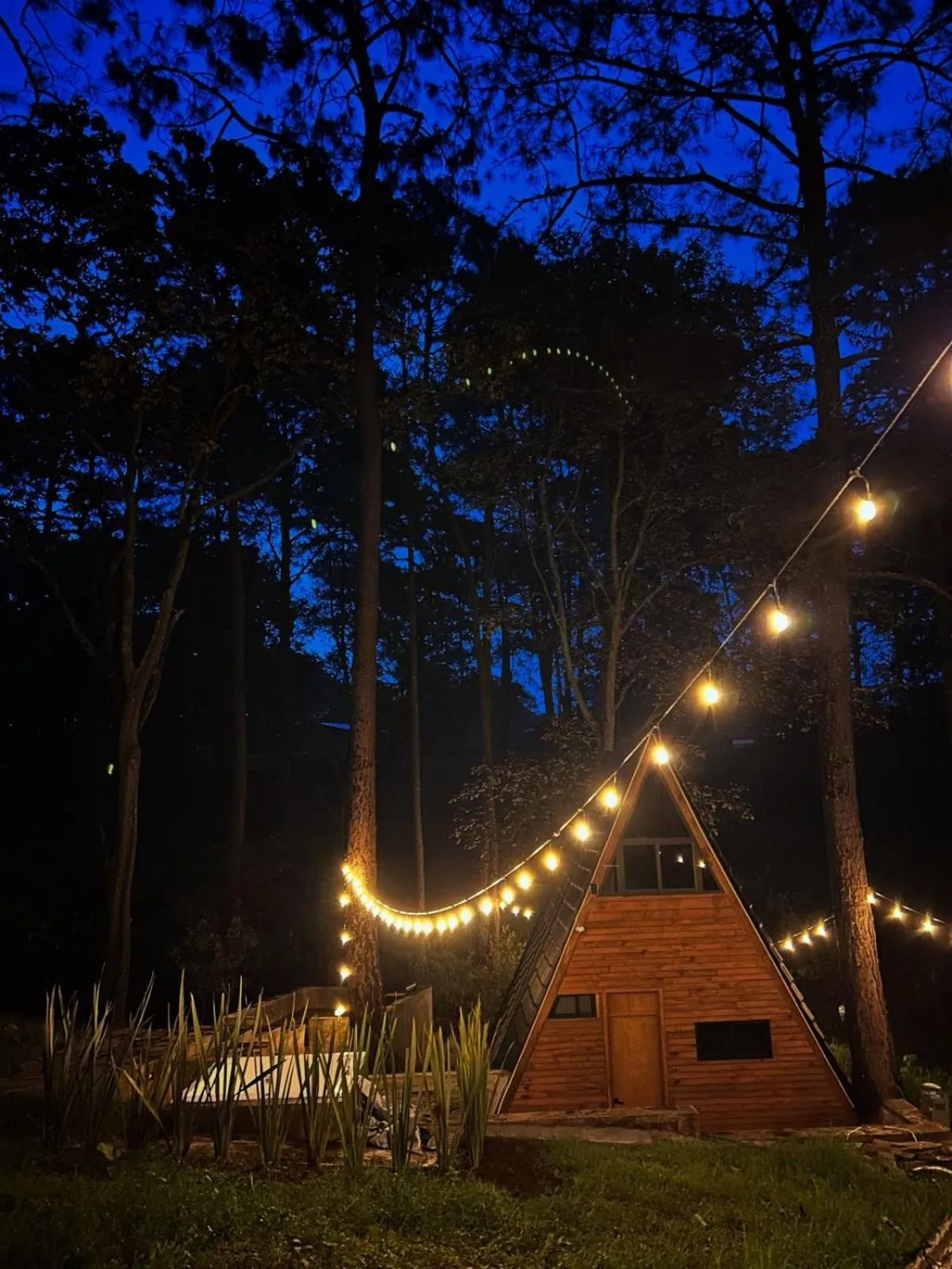 Off site in PINE TREE Mazamitla Hotel Boutique & Cabañas