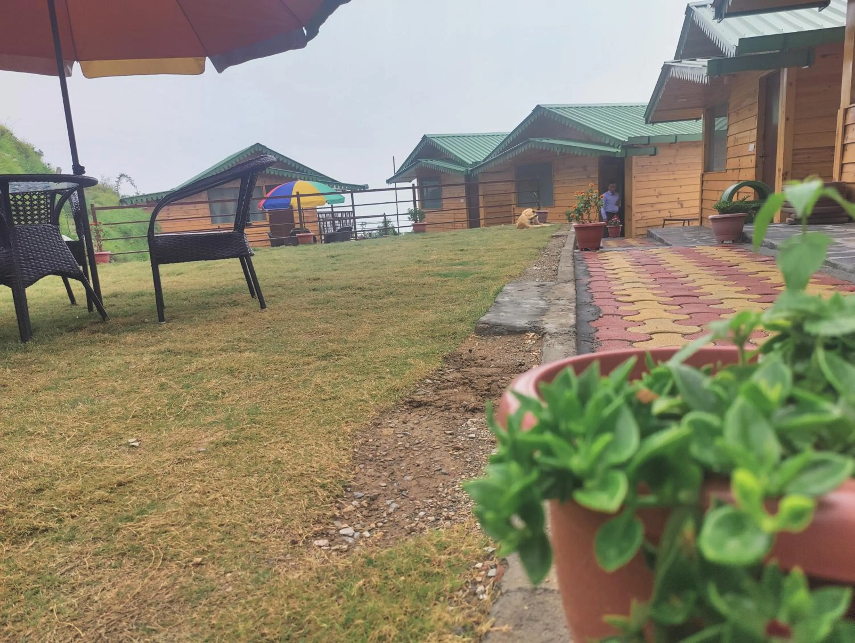 LaSerene The Cottage - Pangoot