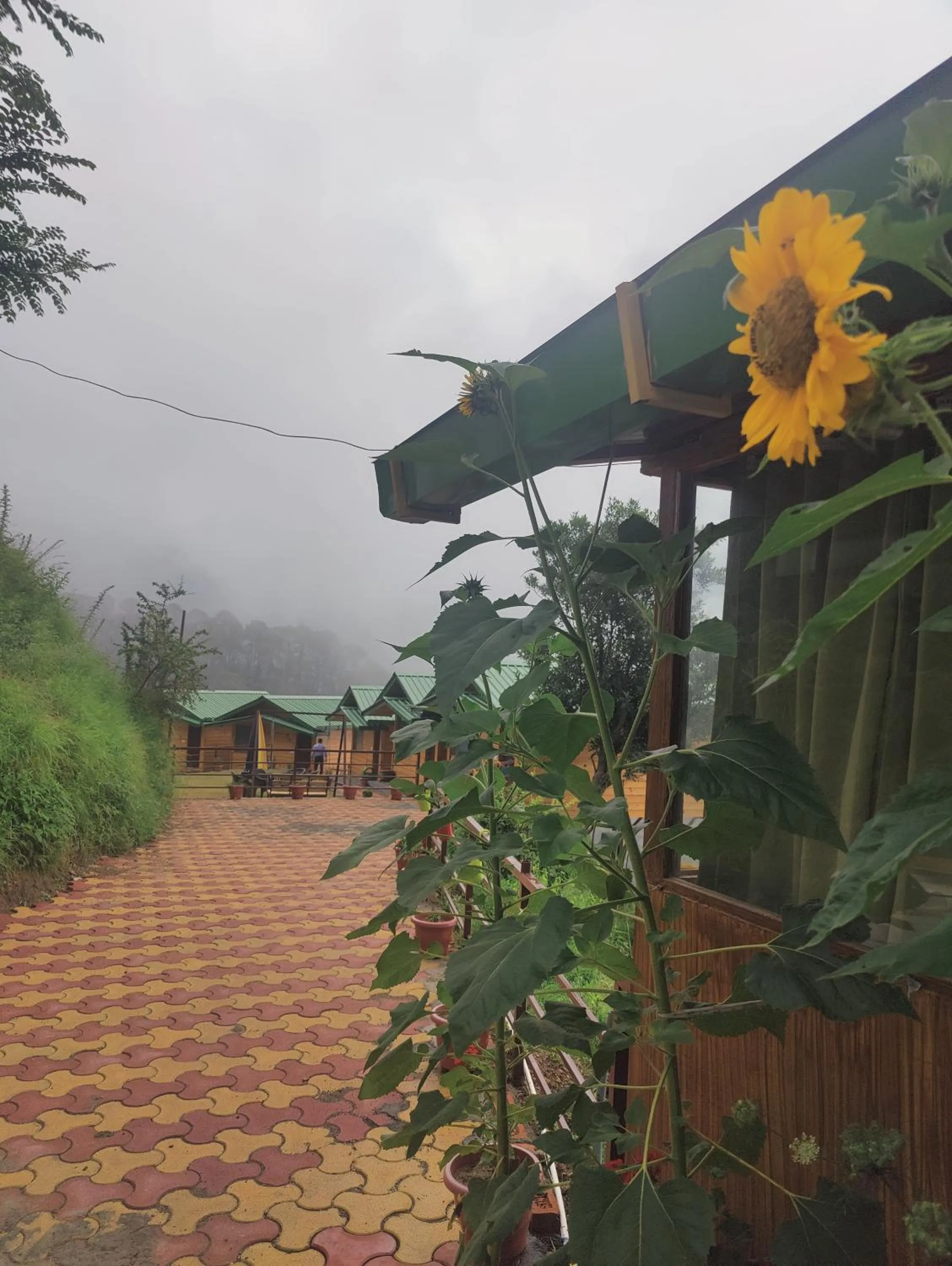 LaSerene The Cottage - Pangoot