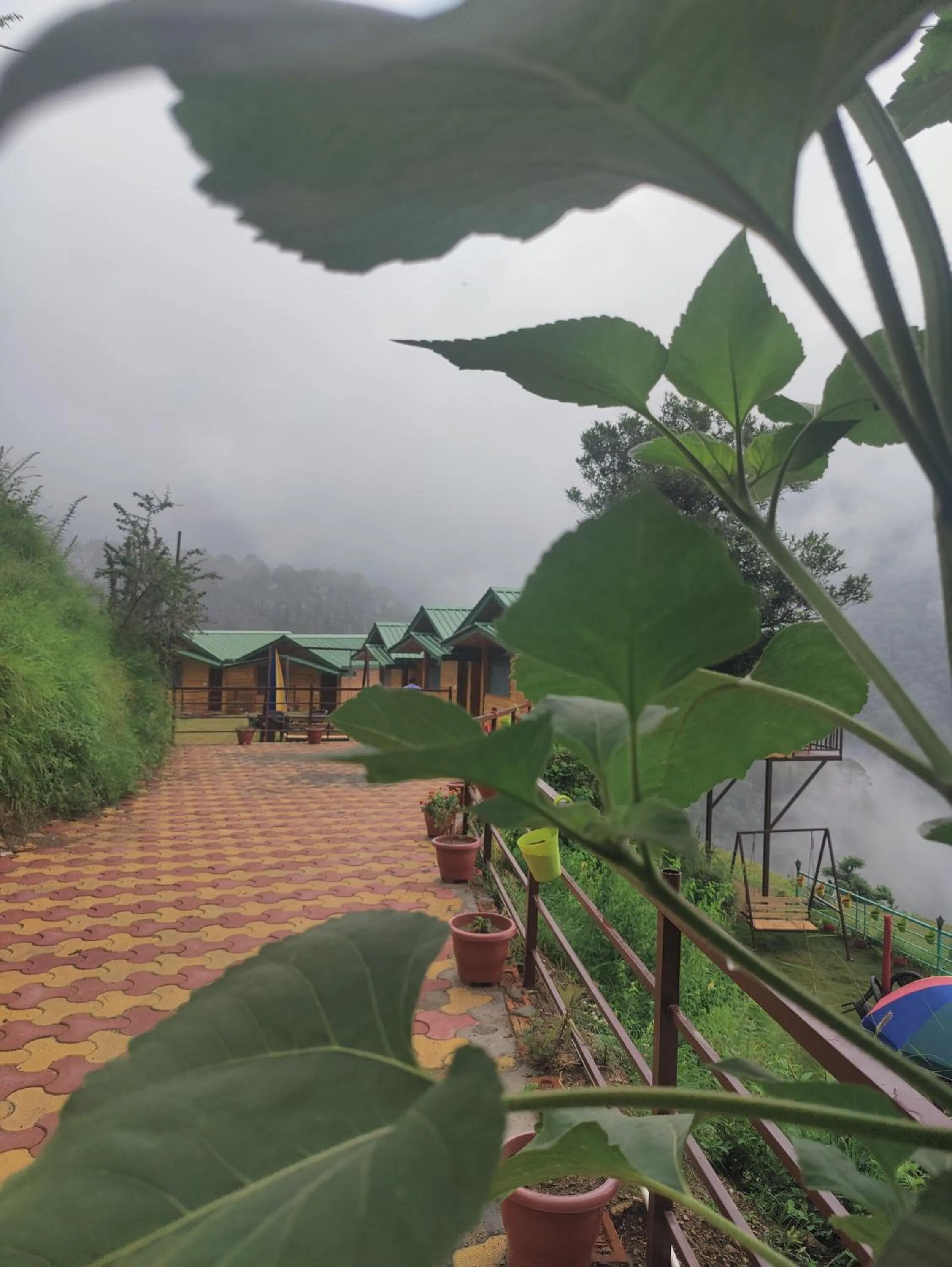 LaSerene The Cottage - Pangoot