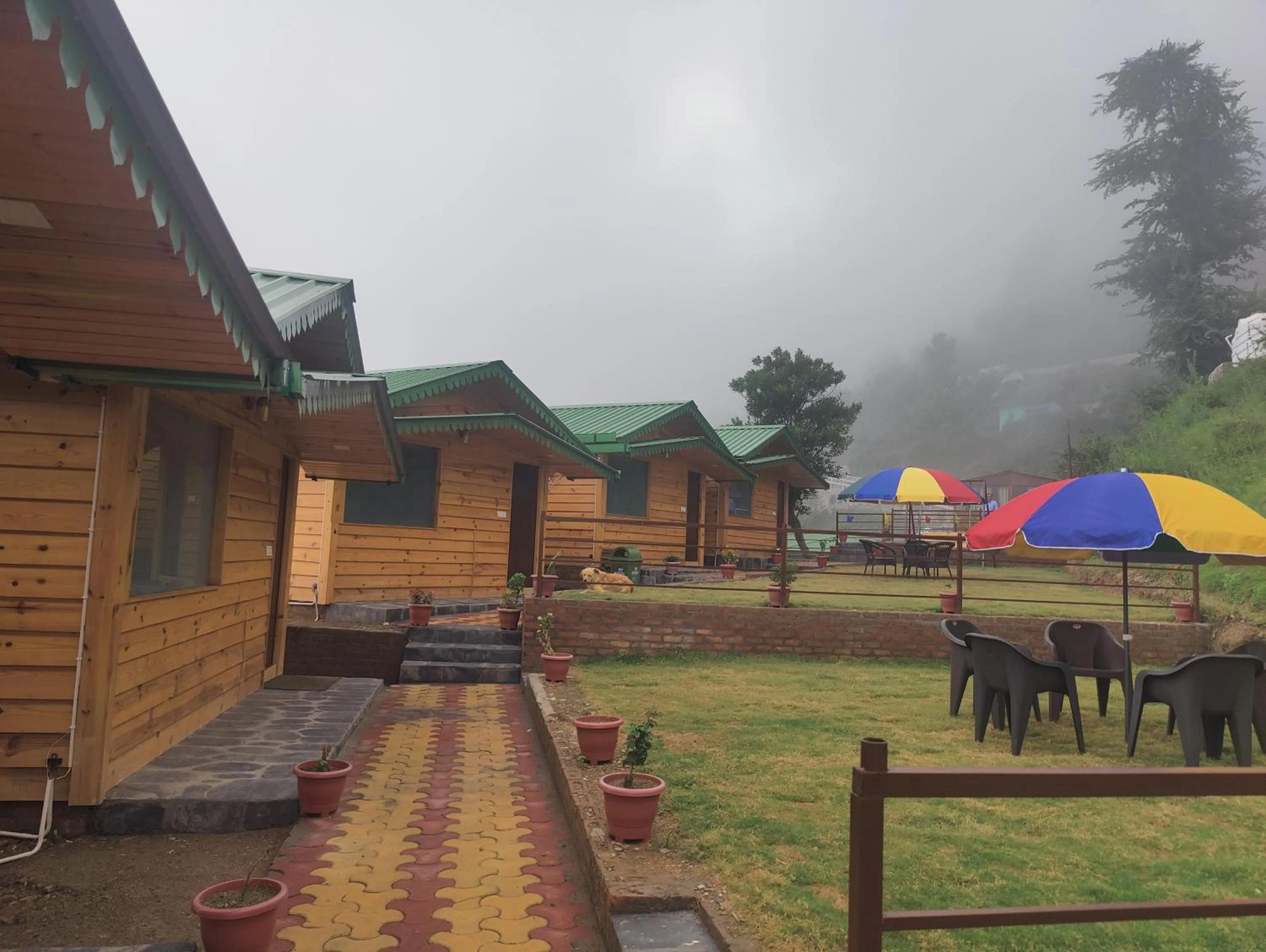 Natural landscape in LaSerene The Cottage - Pangoot