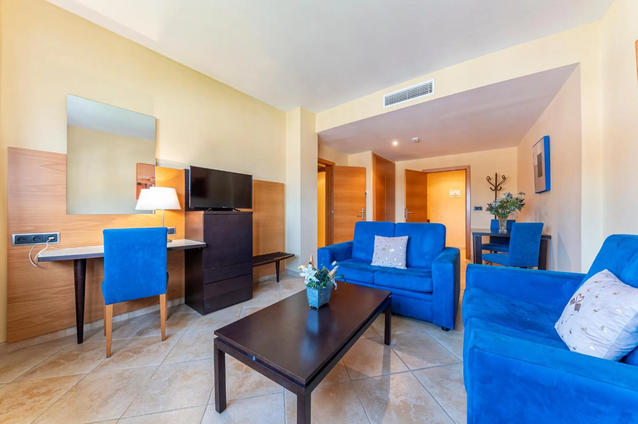 TV and multimedia in Hotel Rober Palas