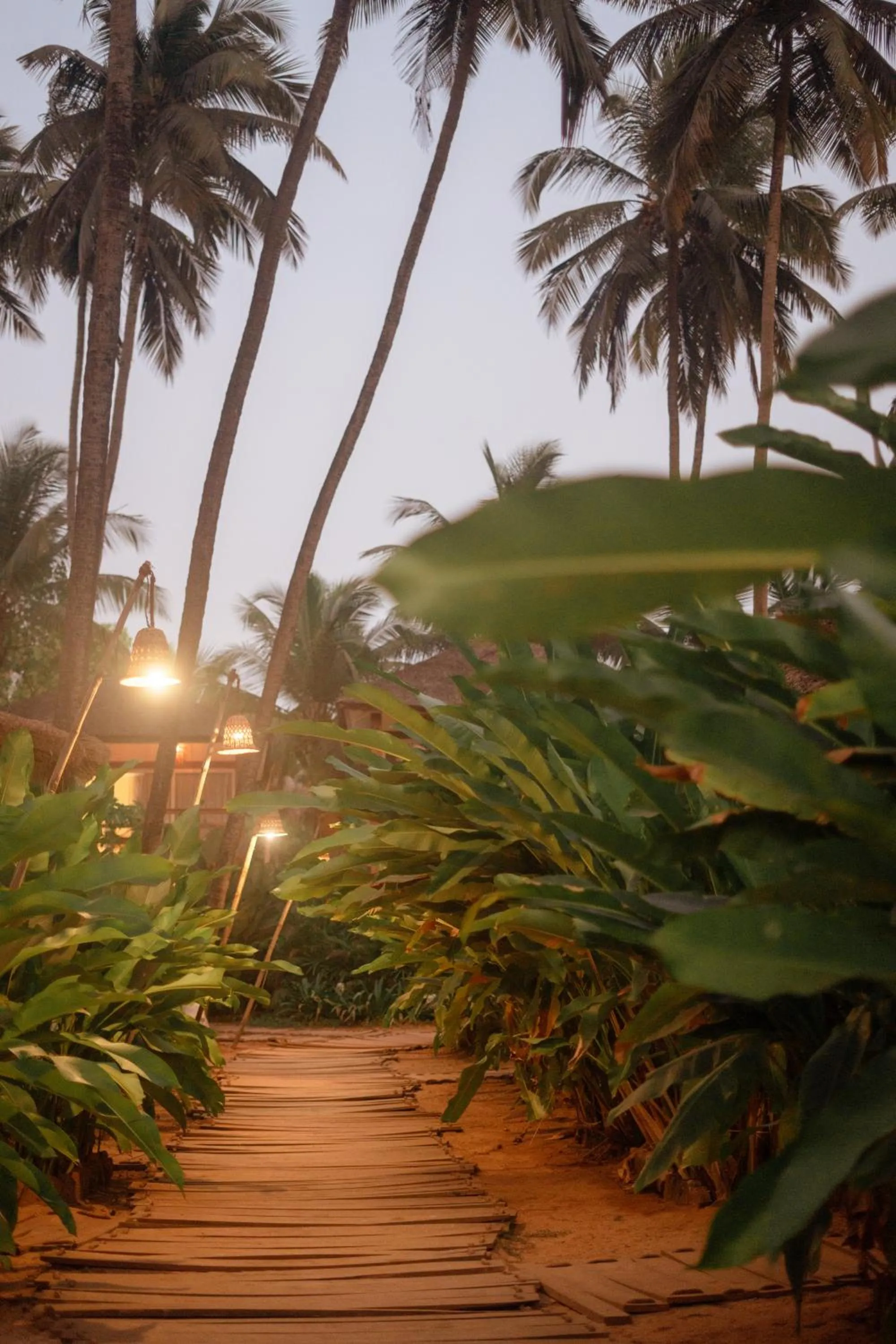 Garden in Thalassa Beach Boutique Resort