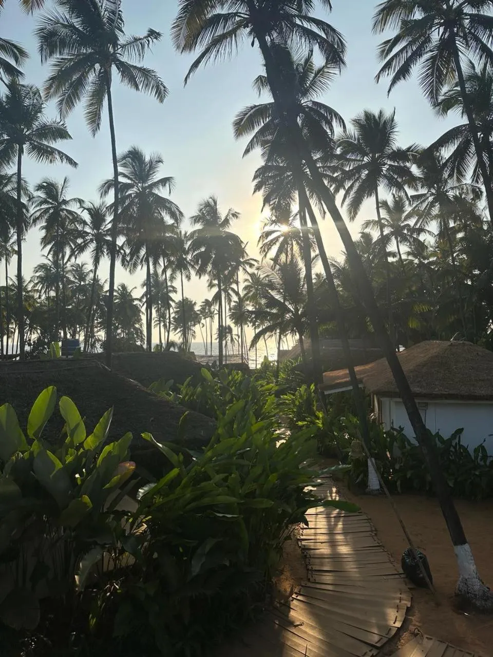 Day in Thalassa Beach Boutique Resort