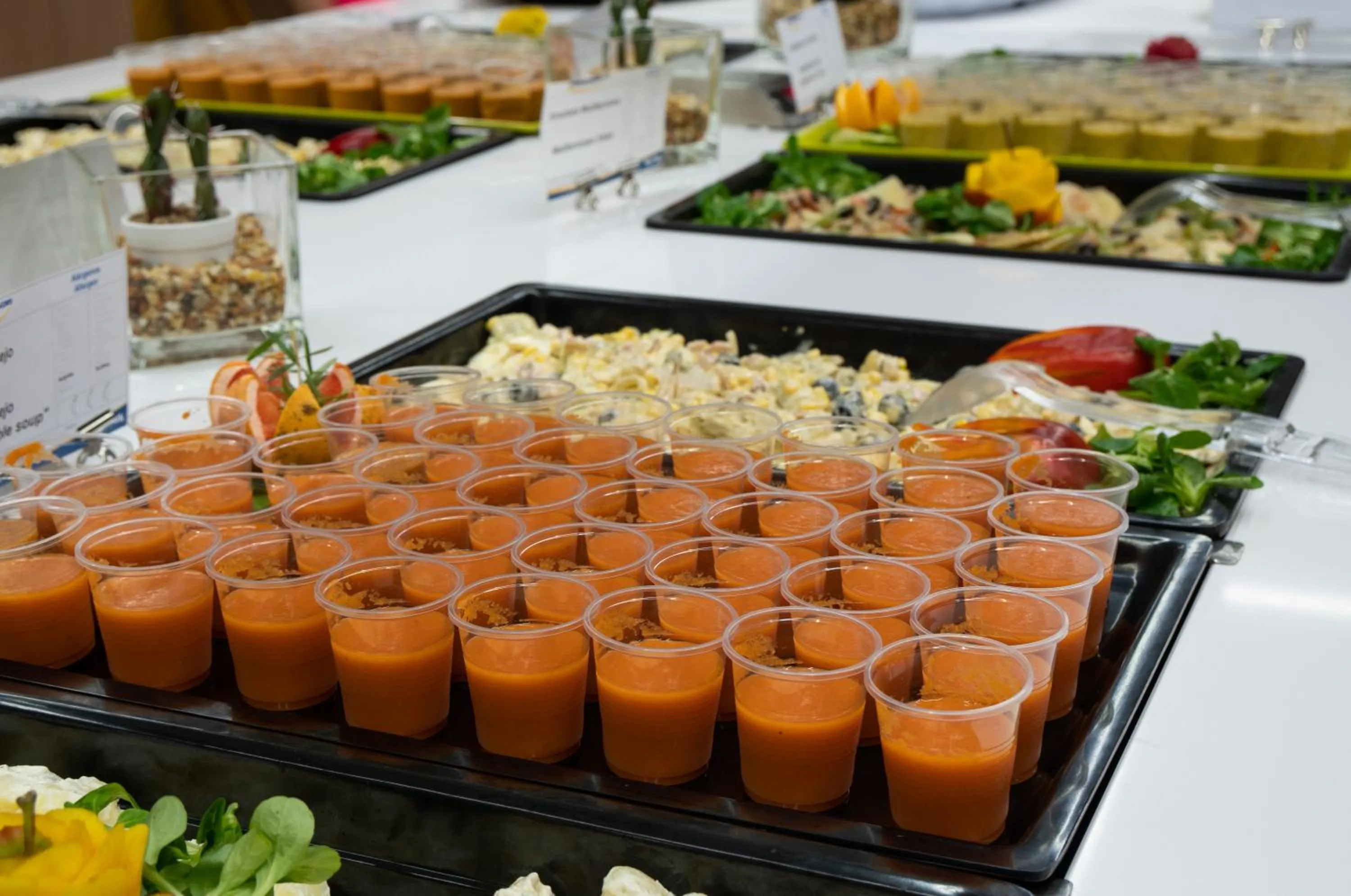 Restaurant/places to eat in Medplaya Hotel Rio Park