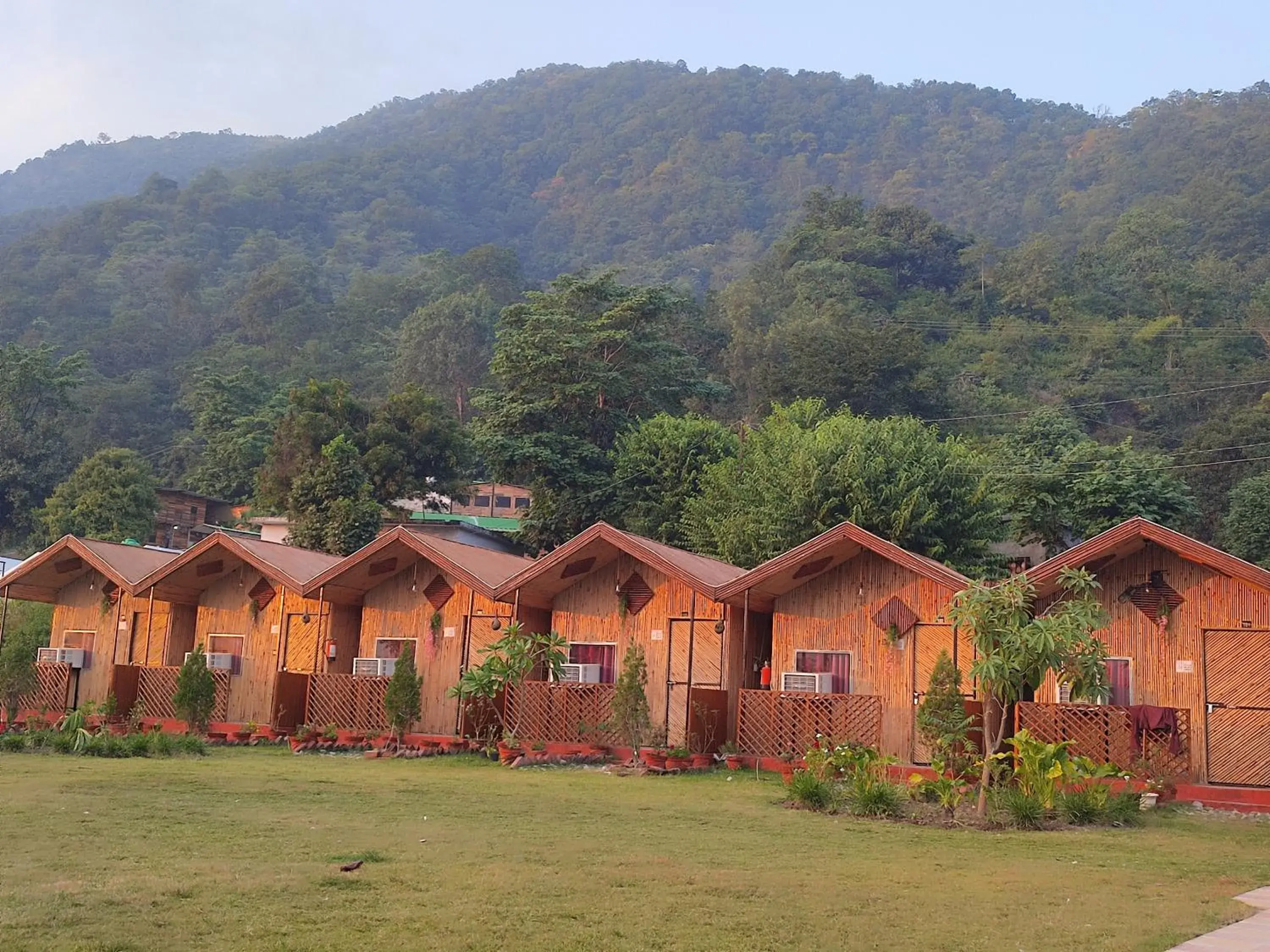The Jungle Mist Resort The Jungle Mist Resort