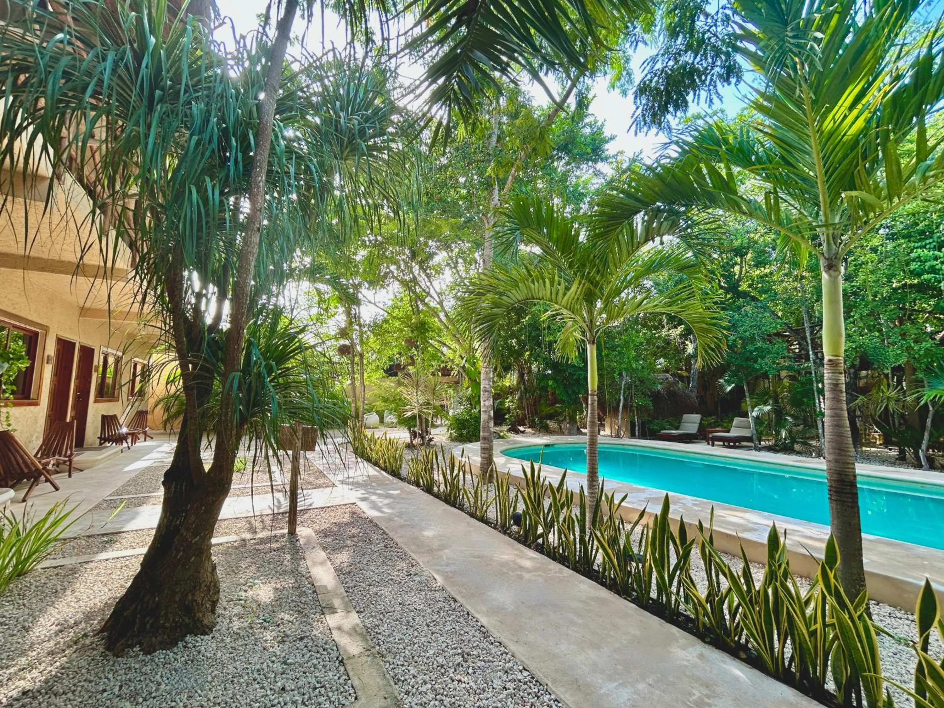 Spring in Aldea Xaan Ha Tulum