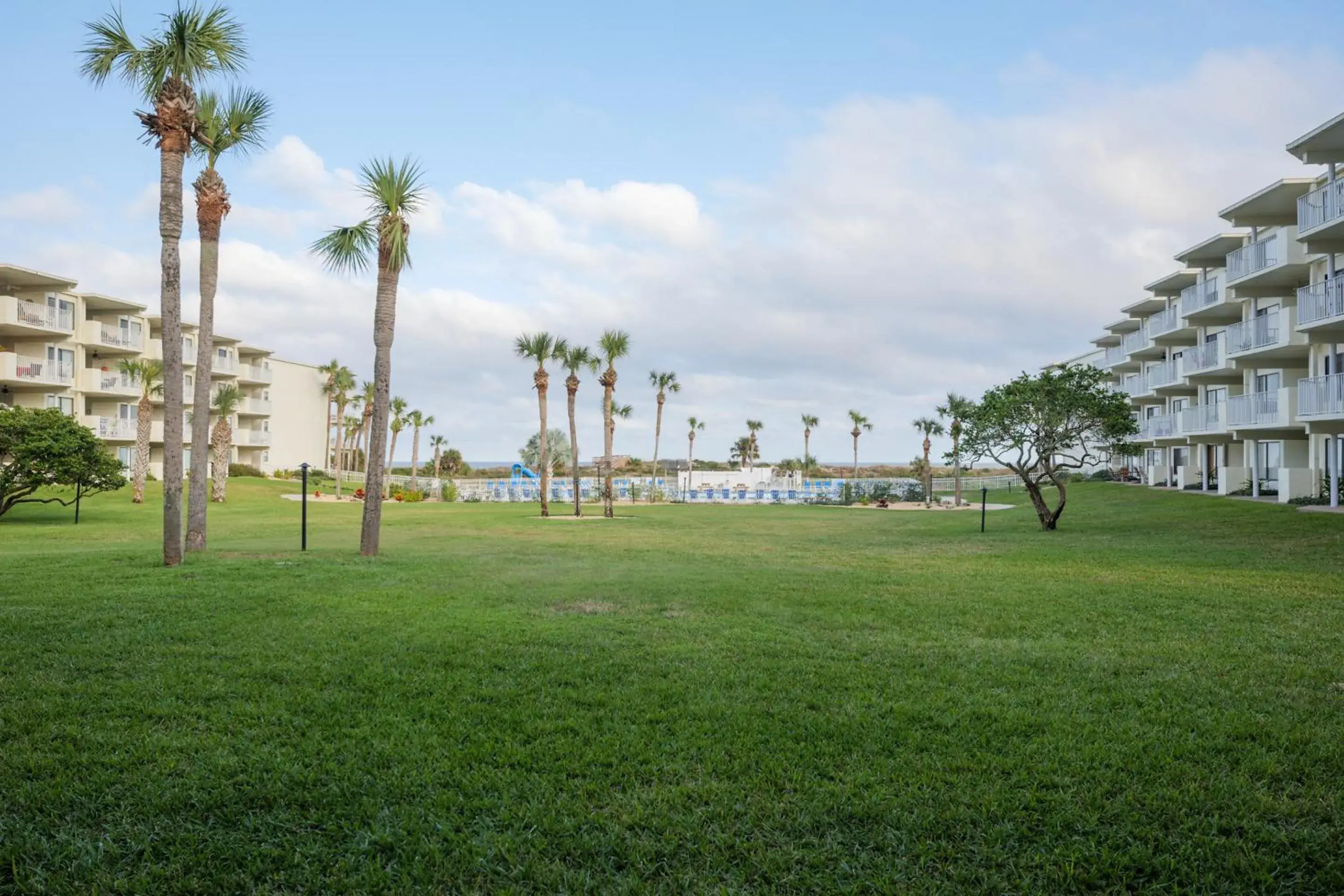 Colony Reef 3102 Colony Reef 3102