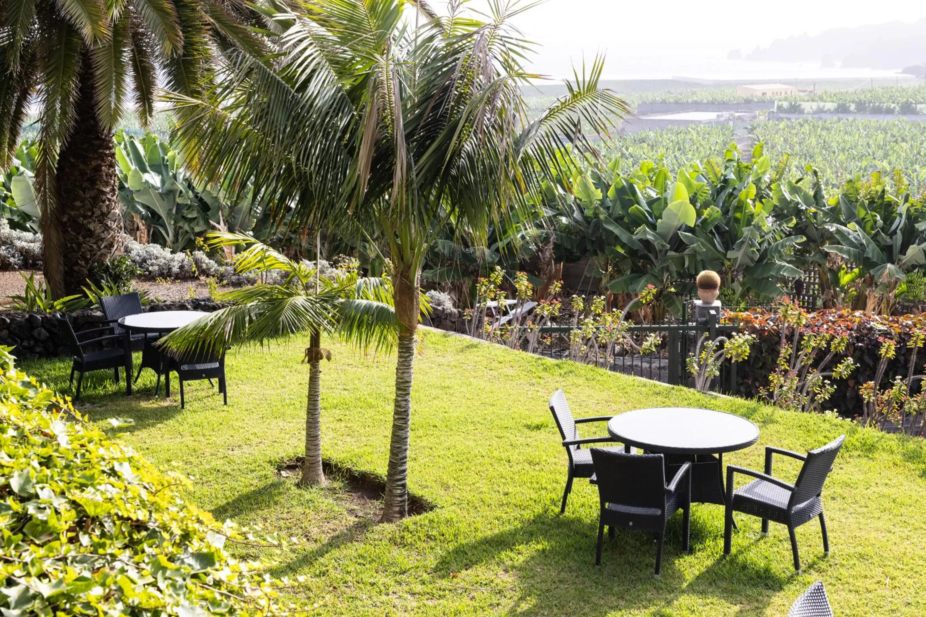 Garden in Hotel El Patio