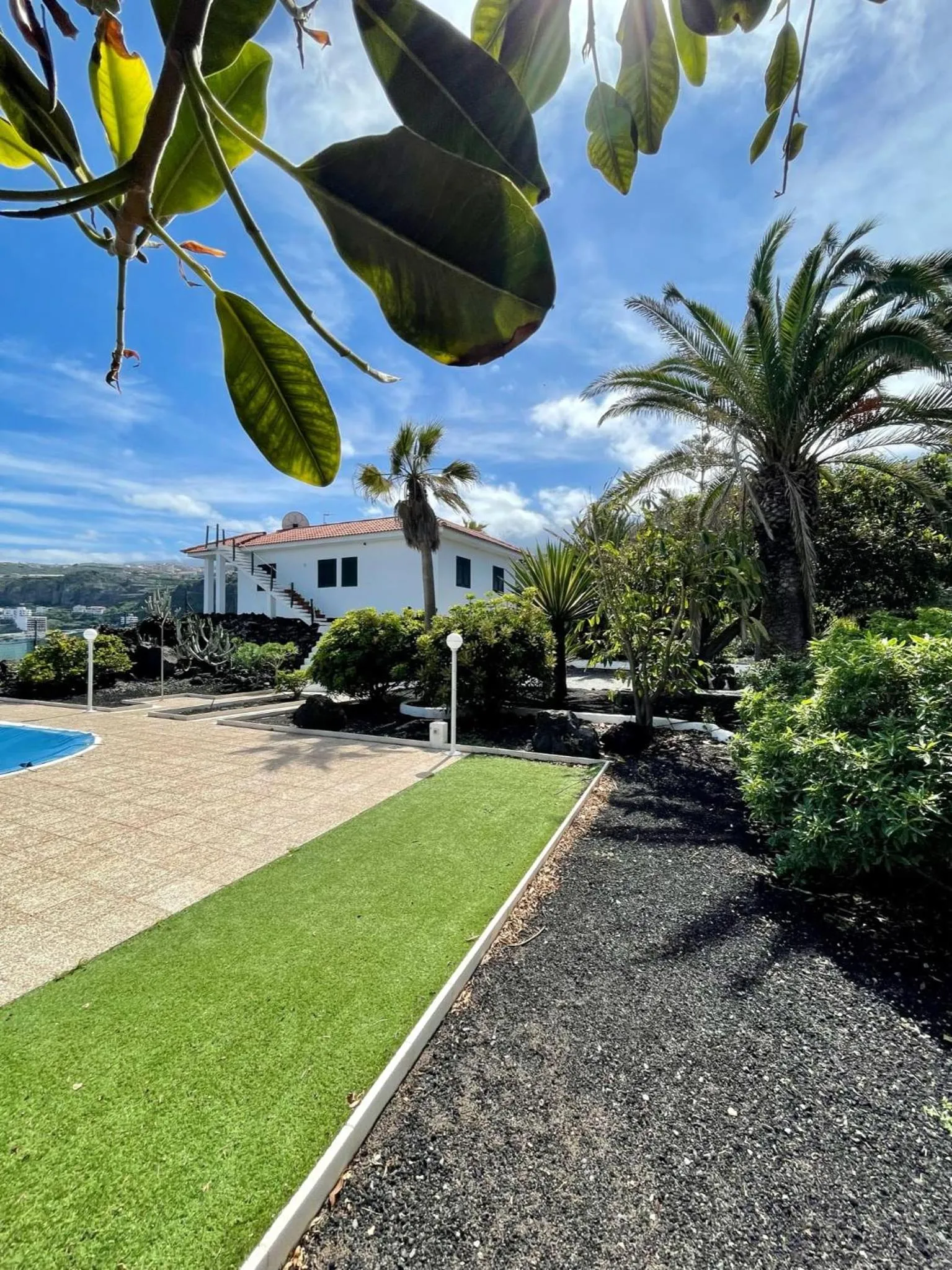 Natural landscape in Hotel El Patio