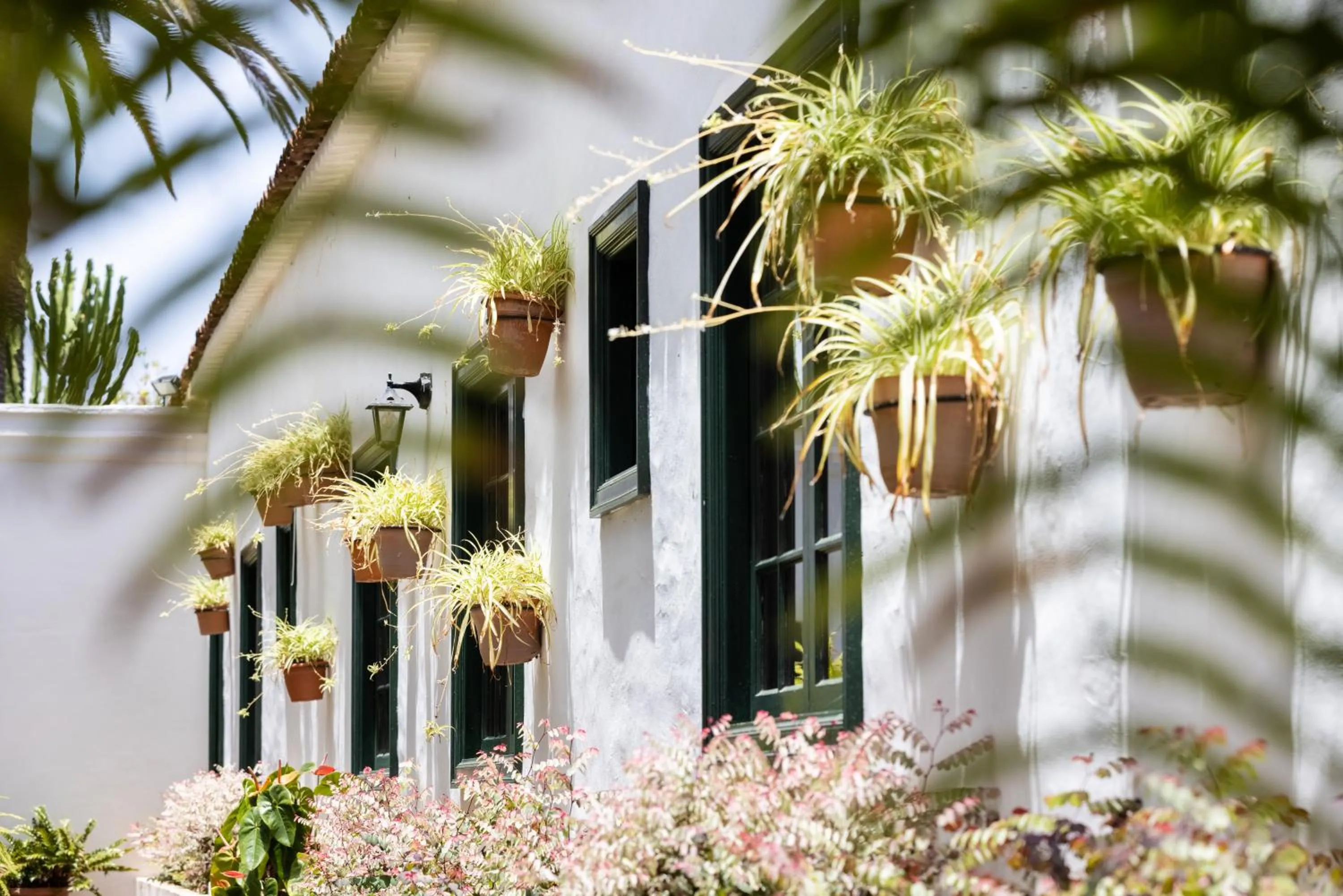 Patio in Hotel El Patio
