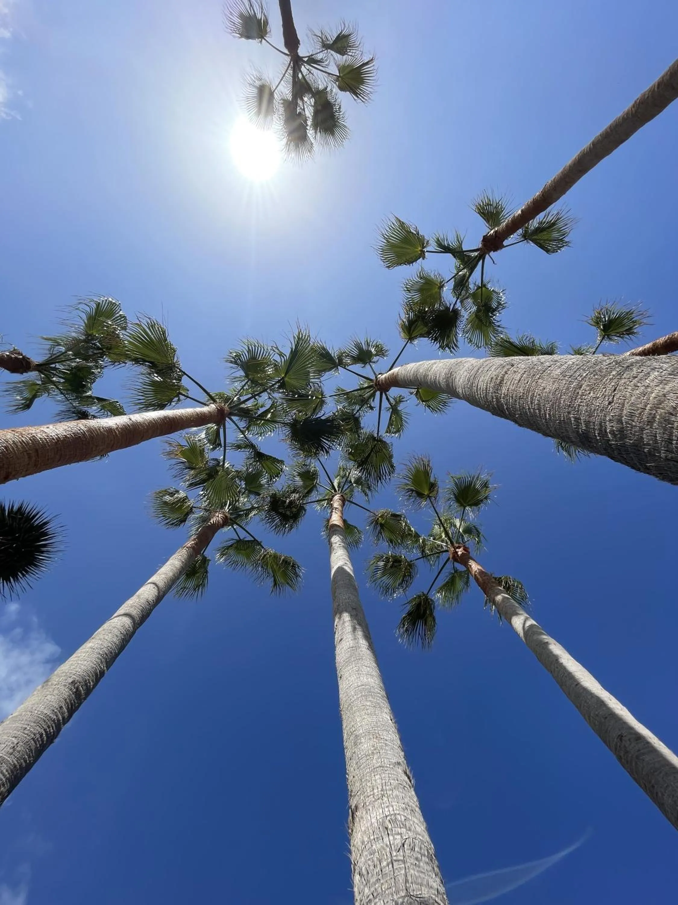Natural landscape in Hotel El Patio