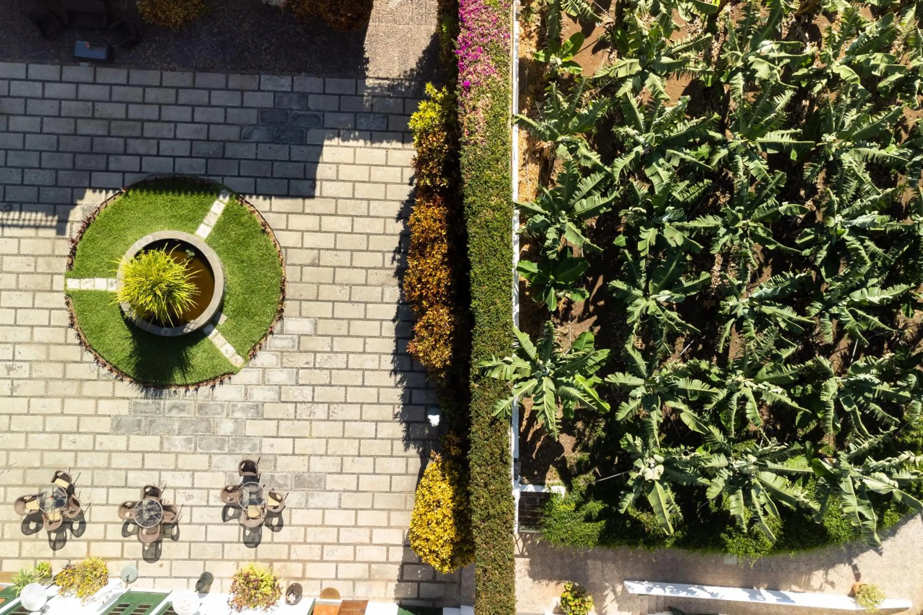 Patio in Hotel El Patio