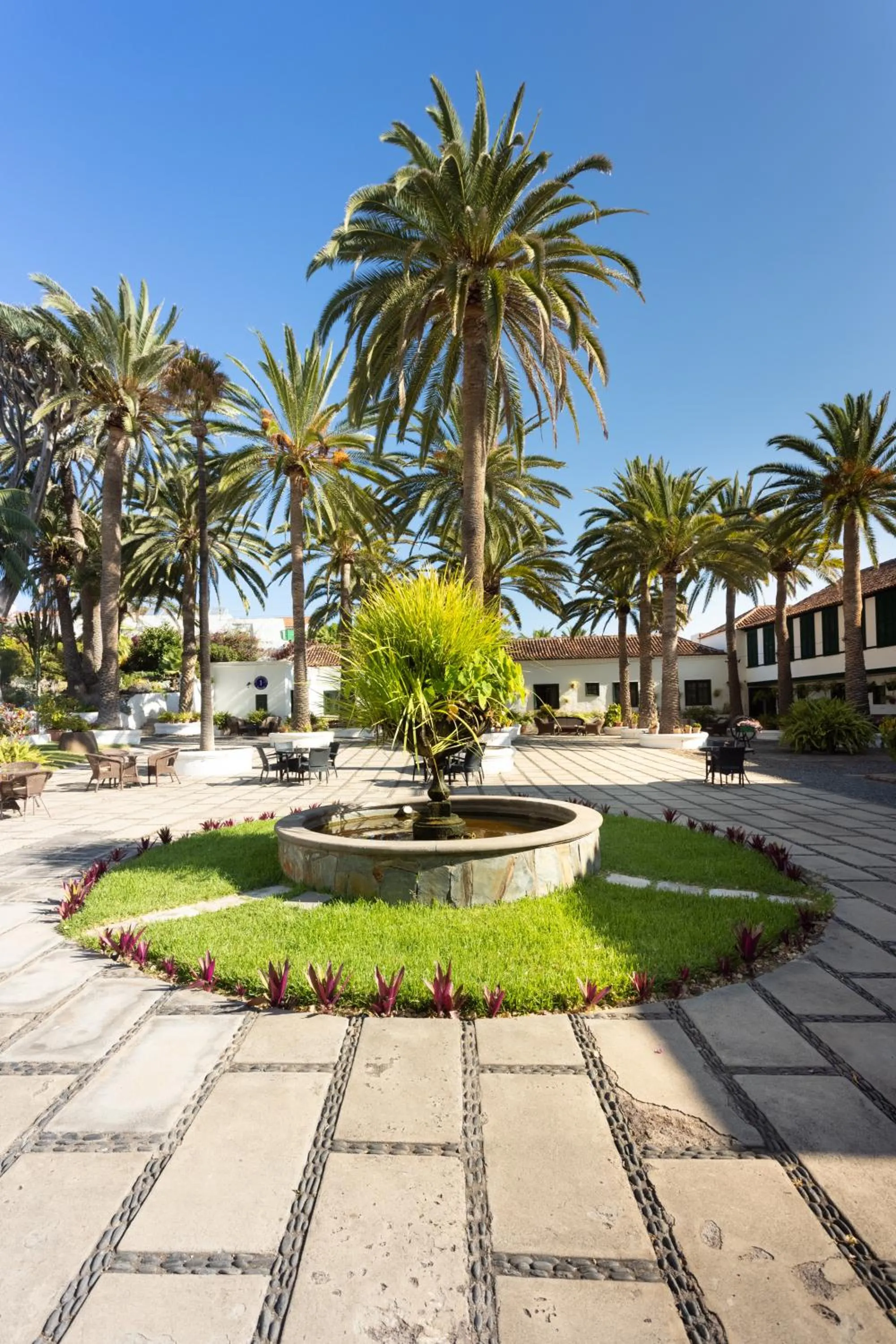 Patio in Hotel El Patio