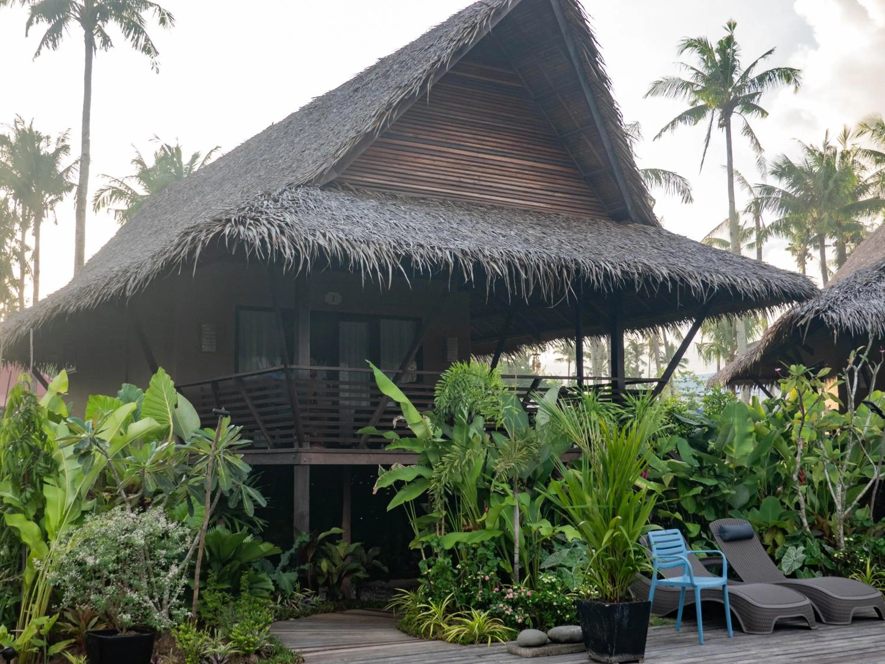 Garden view in Kaimana Resort Siargao