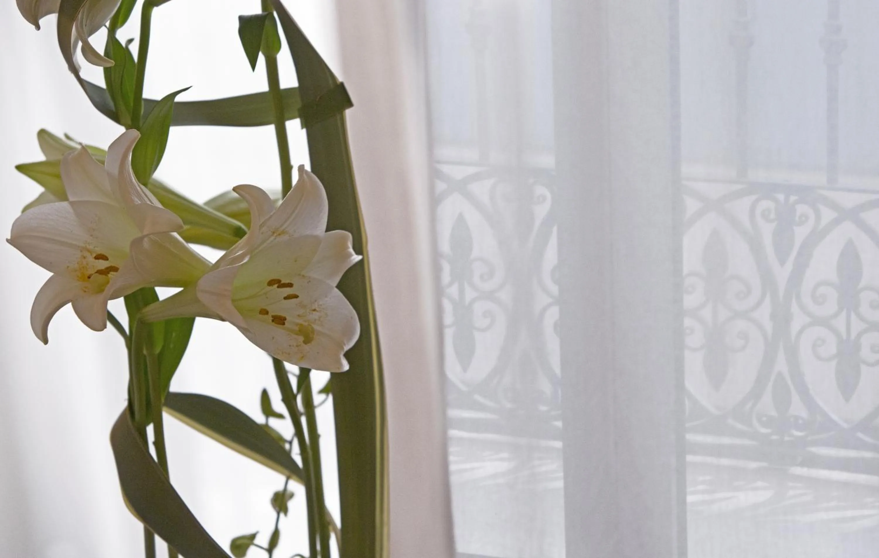 Spring in Hospes Amérigo, Alicante, a Member of Design Hotels