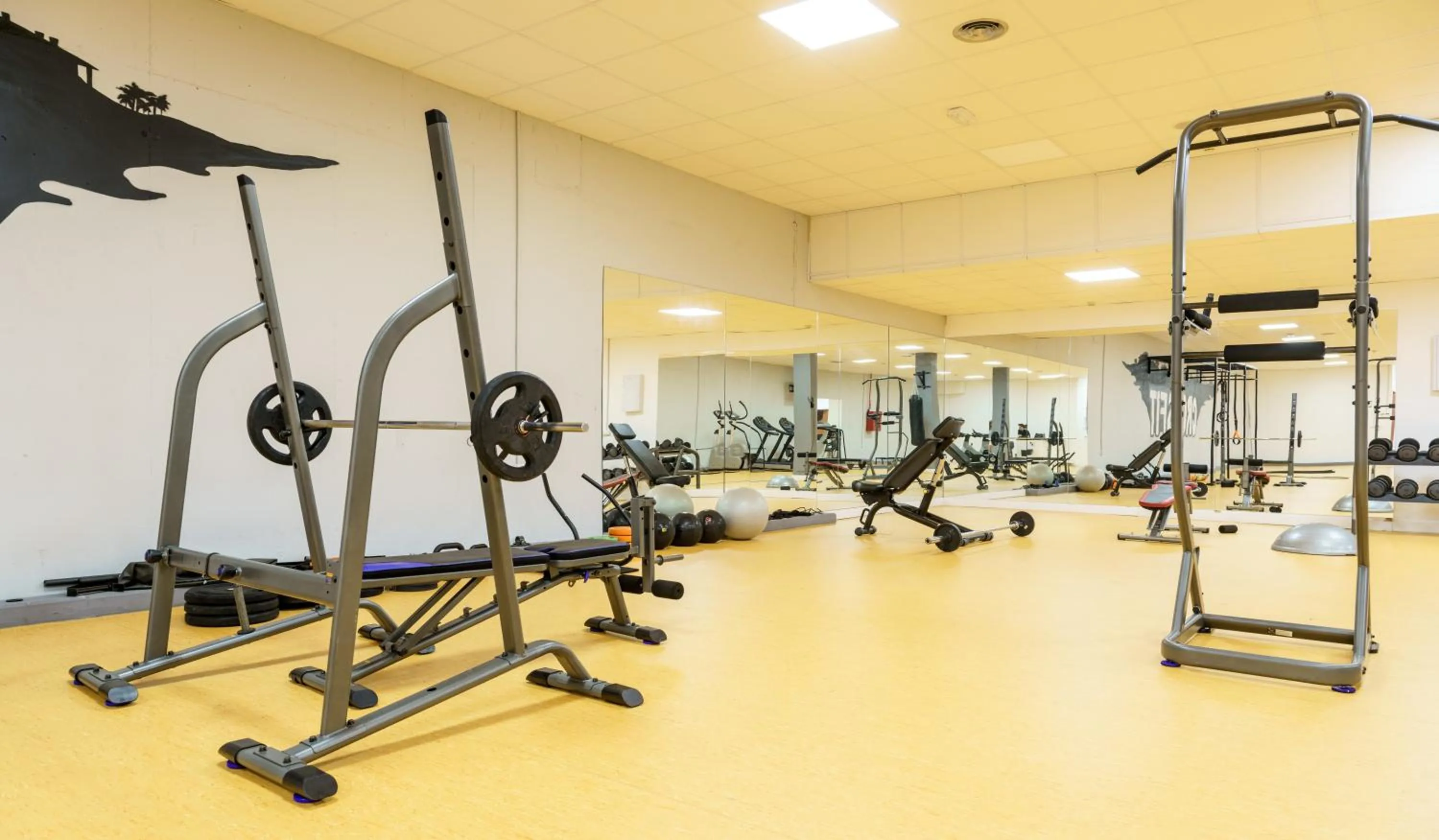 Fitness centre/facilities in Ilunion Sancti Petri