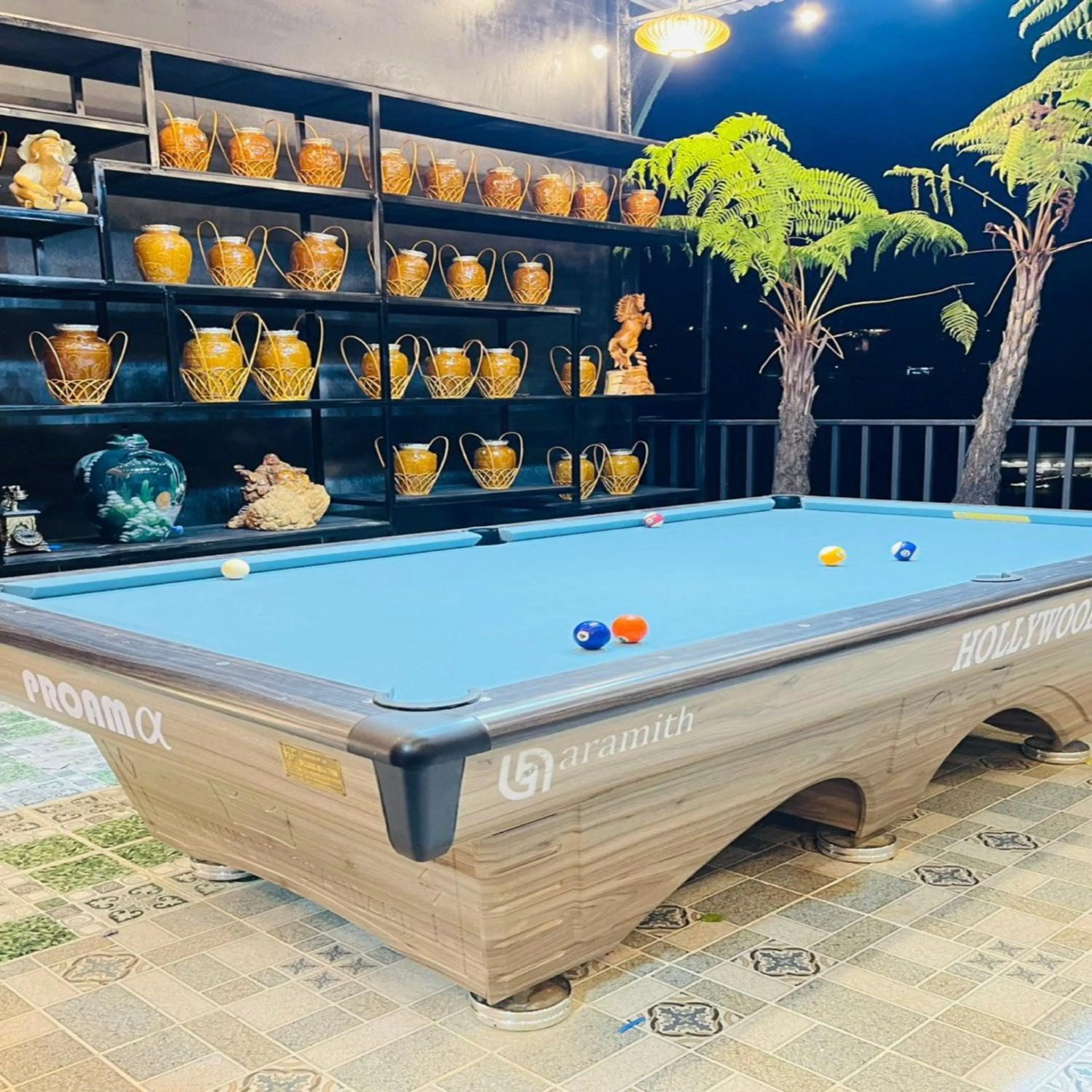 Billiard in Pine Forest House Dalat