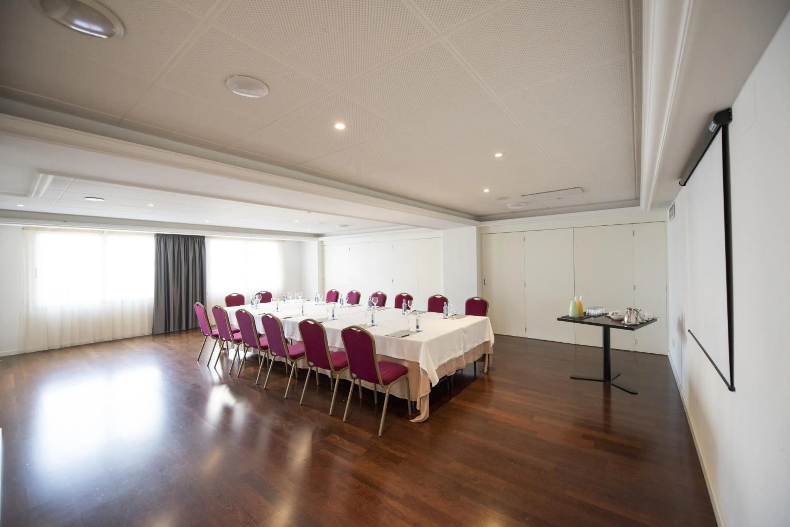 Business facilities in Hotel Almirante