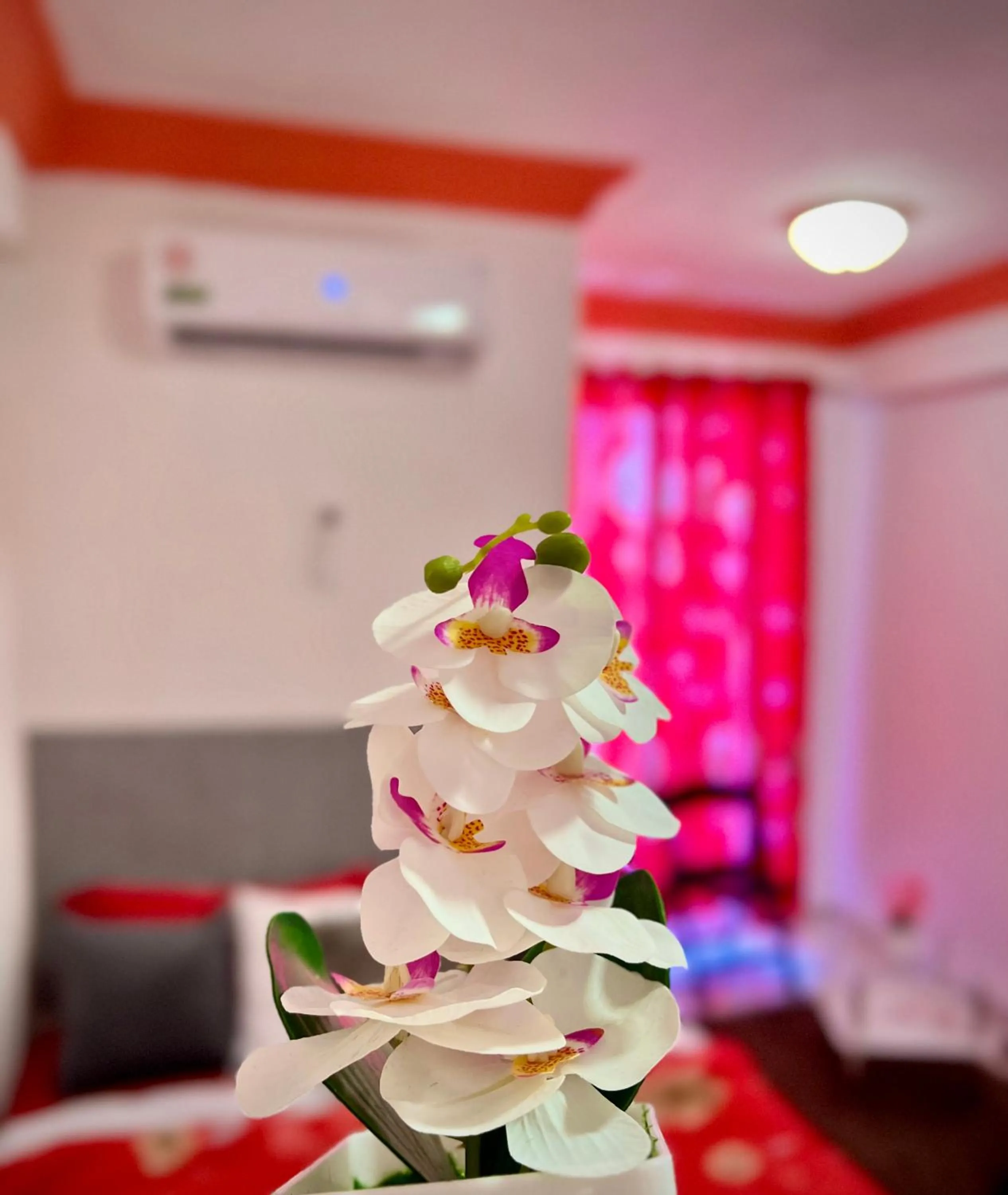 Photo of the whole room, Bed in Hotel Dubaird