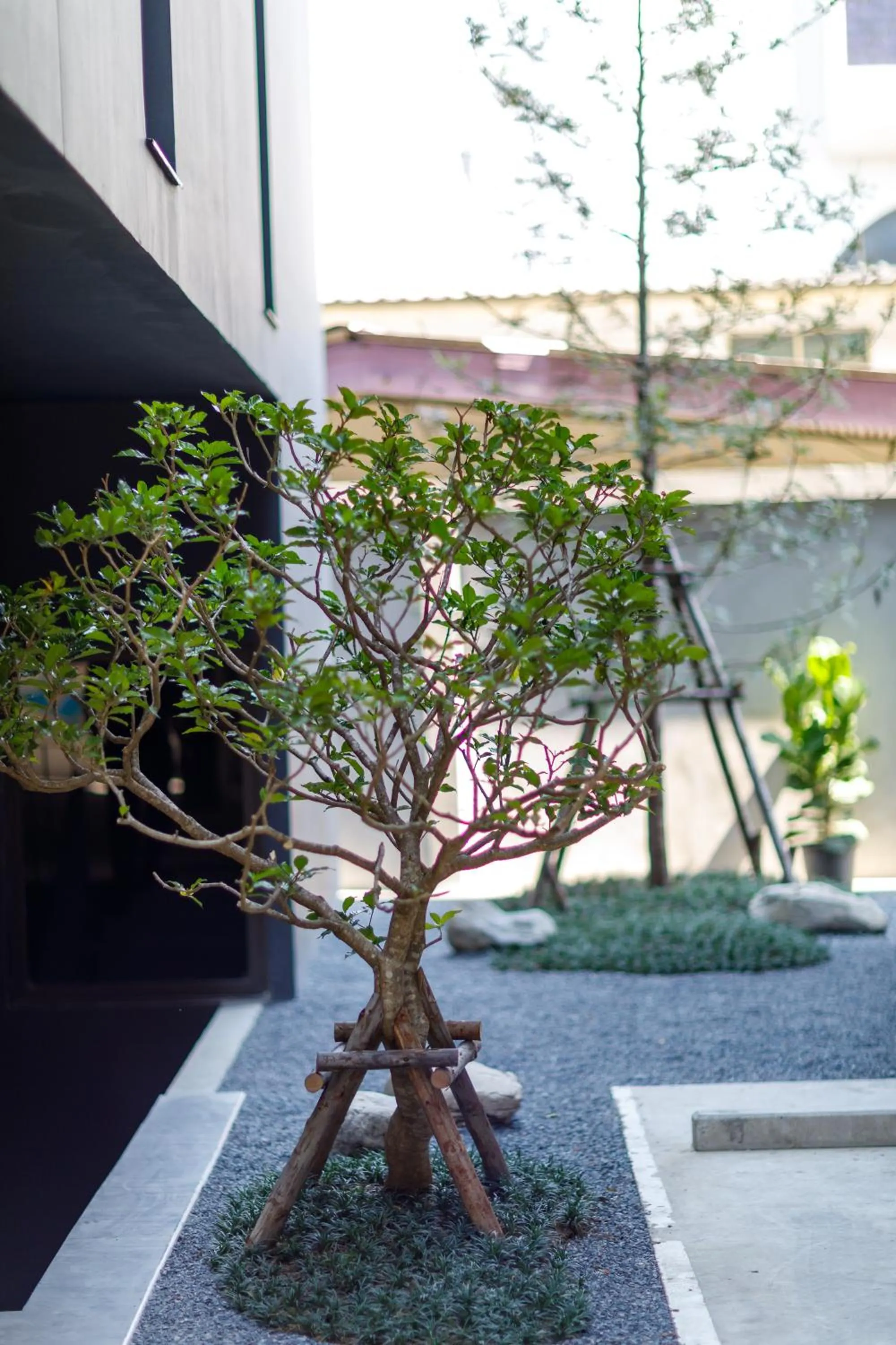 Property building in Benjarong Hotel Bangkok Ratchada