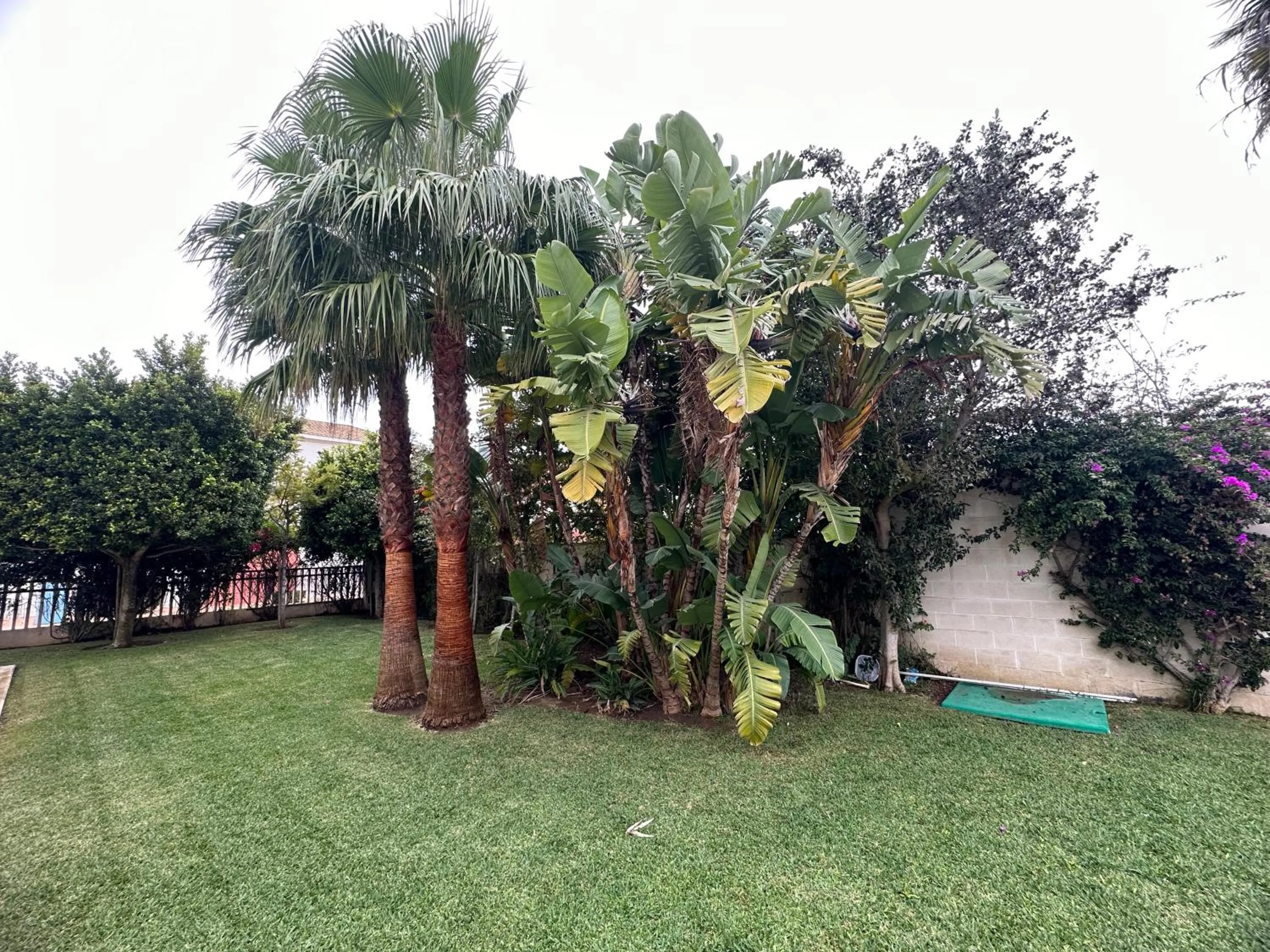 Villa Los Pinares de Monaco en Roche, Conil, Cádiz
