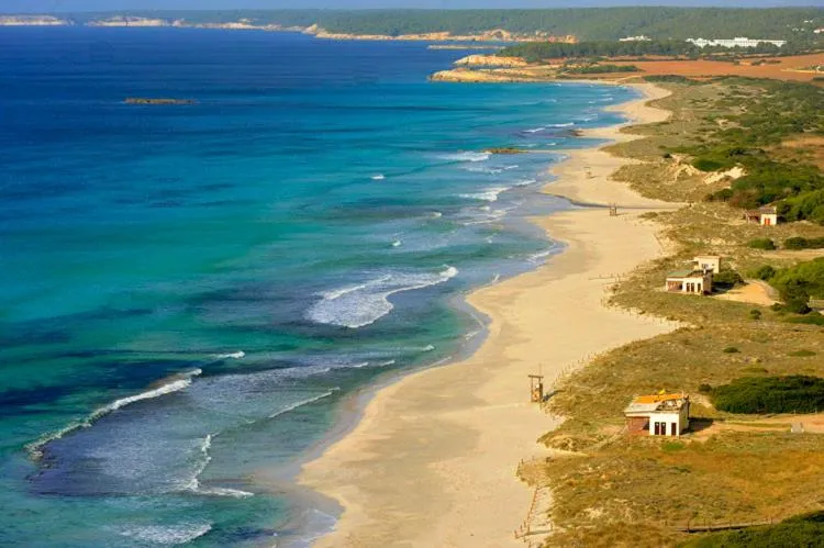 Beach in Apartamentos Mar Blau