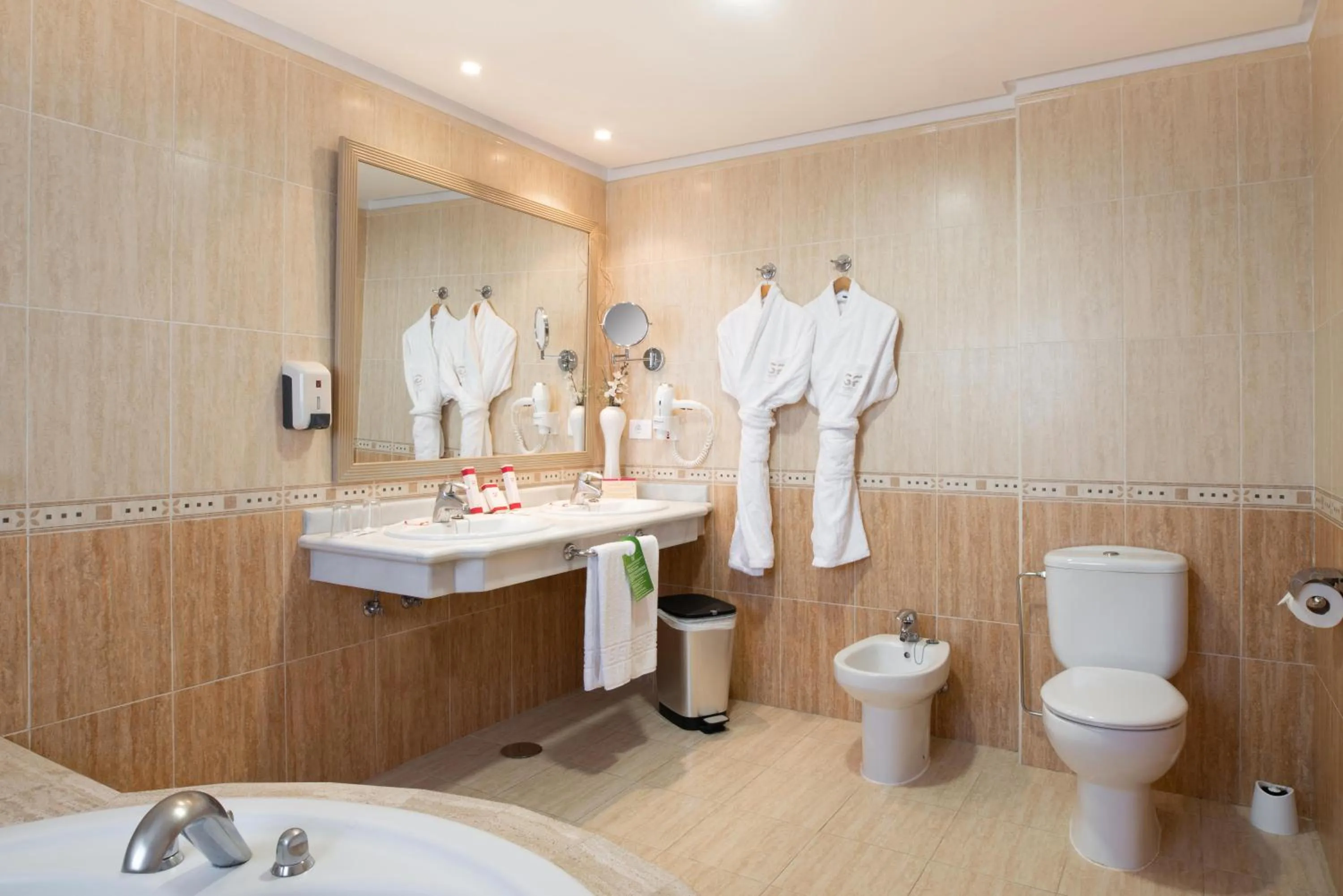 Bathroom in GF Fañabe