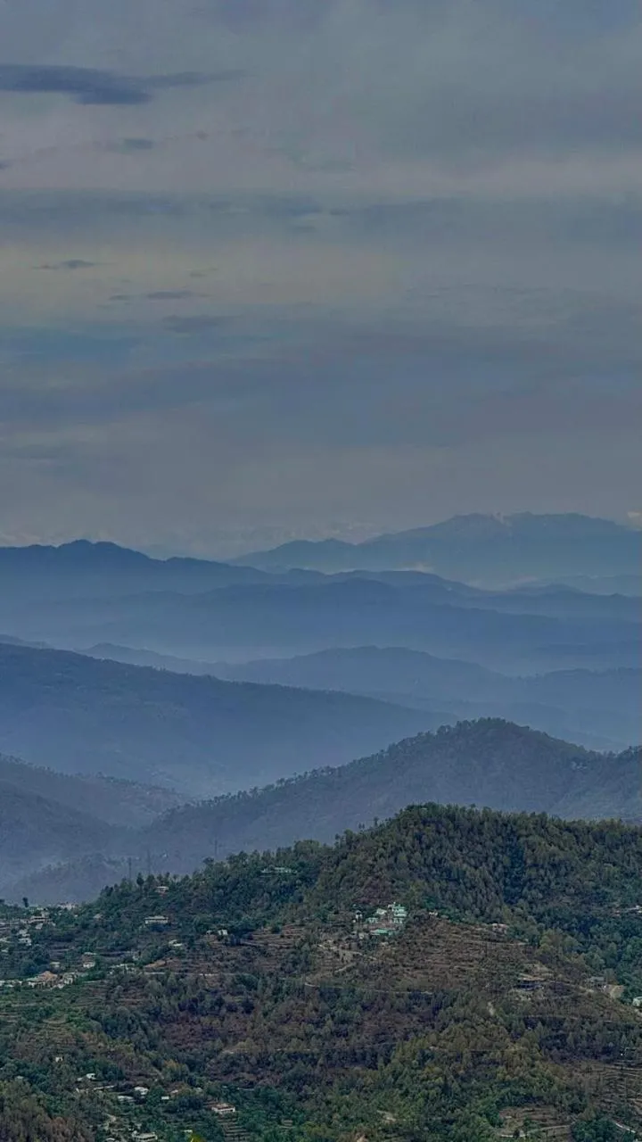 Natural landscape in THE FOX RETREAT