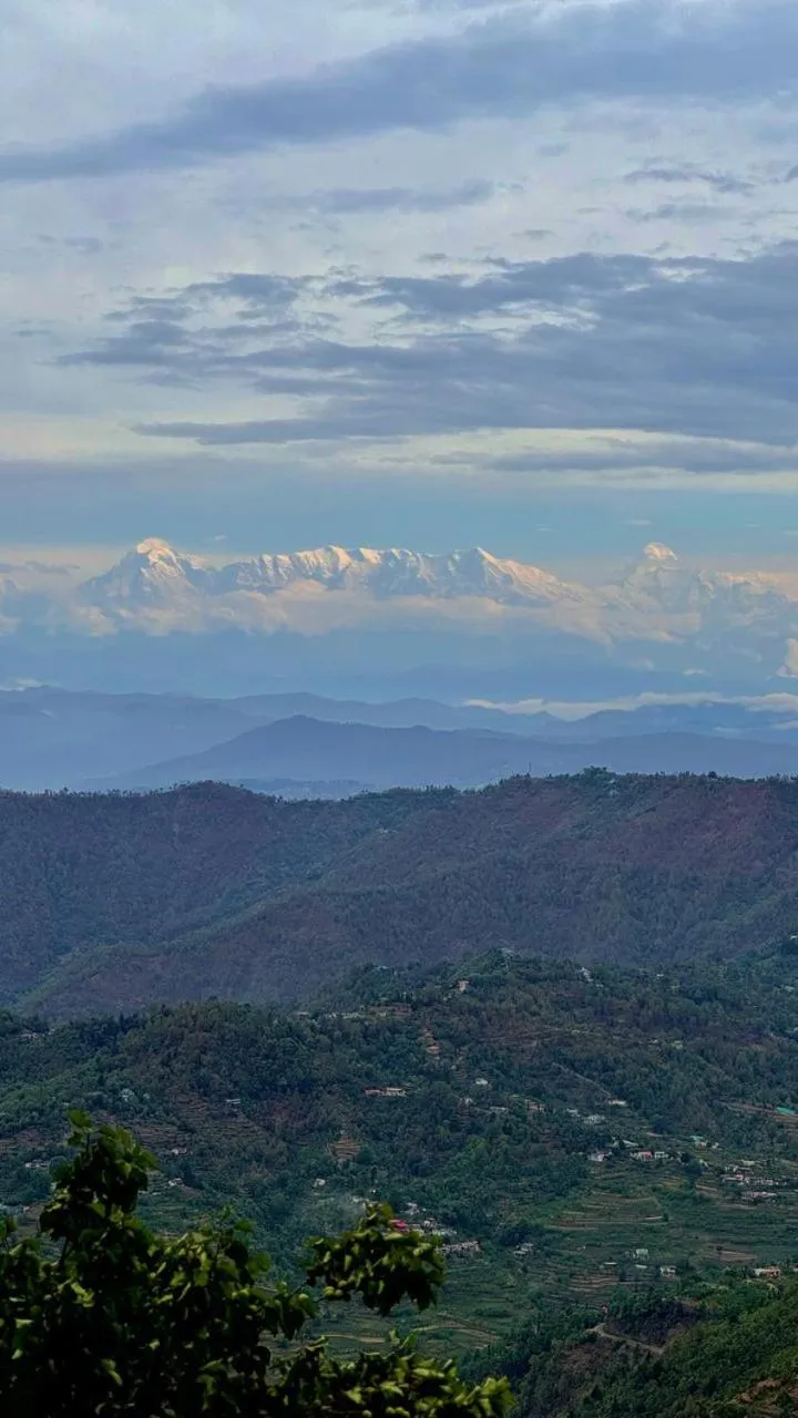 Day in THE FOX RETREAT