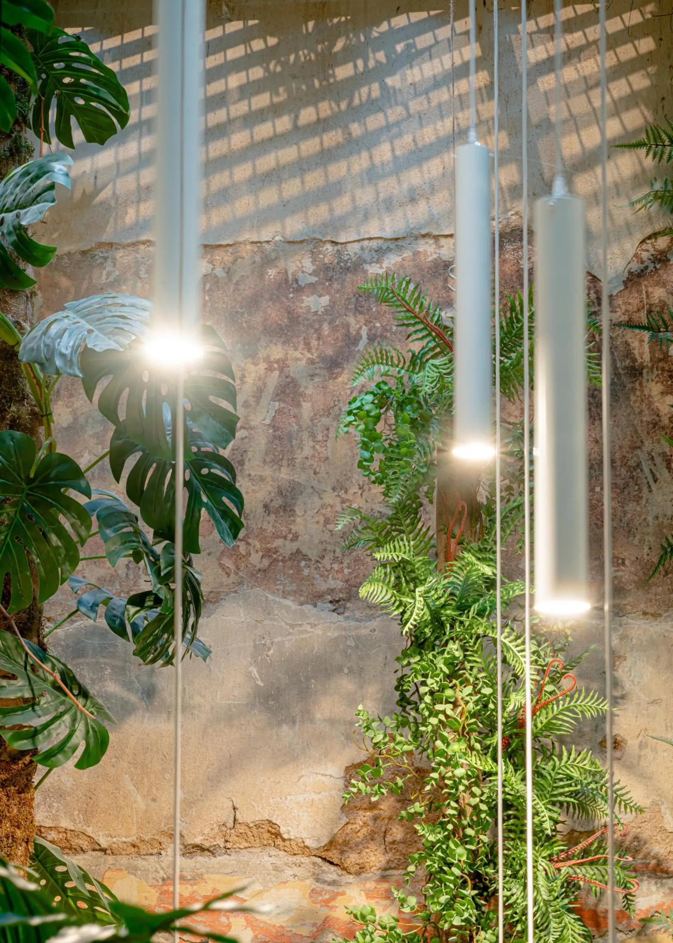 Garden view in Ciel Suites Athens