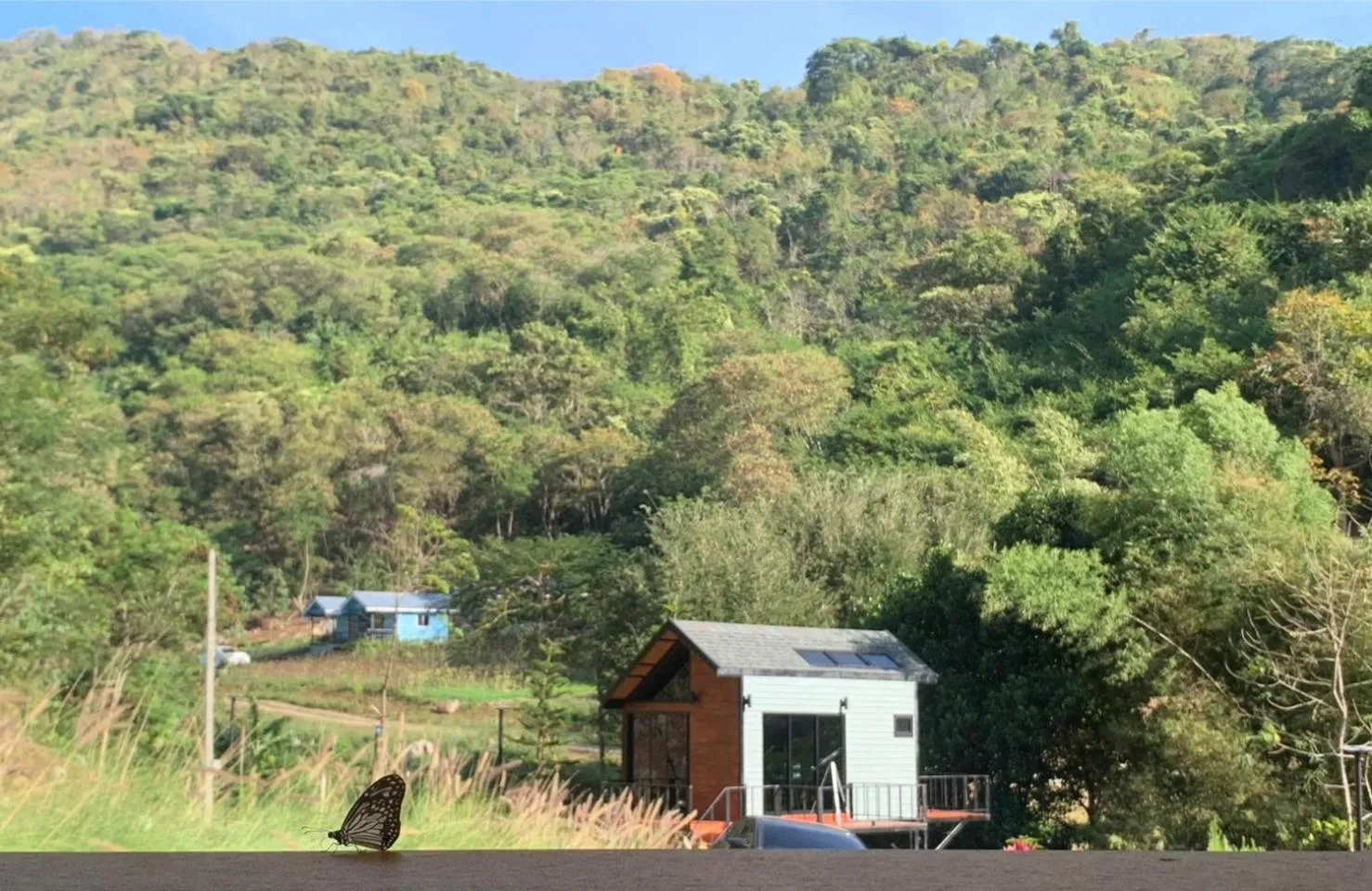 Natural landscape in The Signature Valley Khao-yai Campus