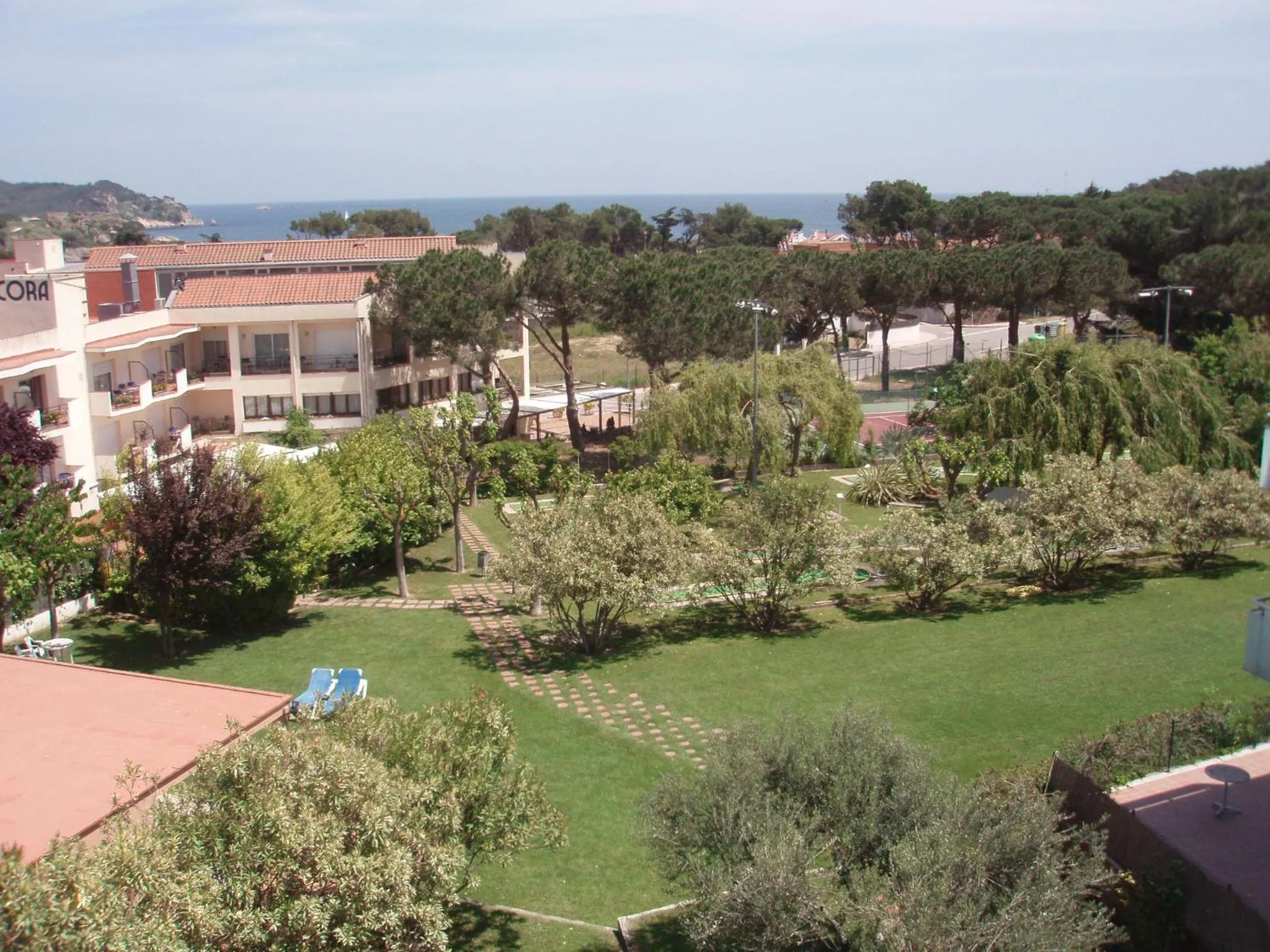 Garden view in Hotel Ancora