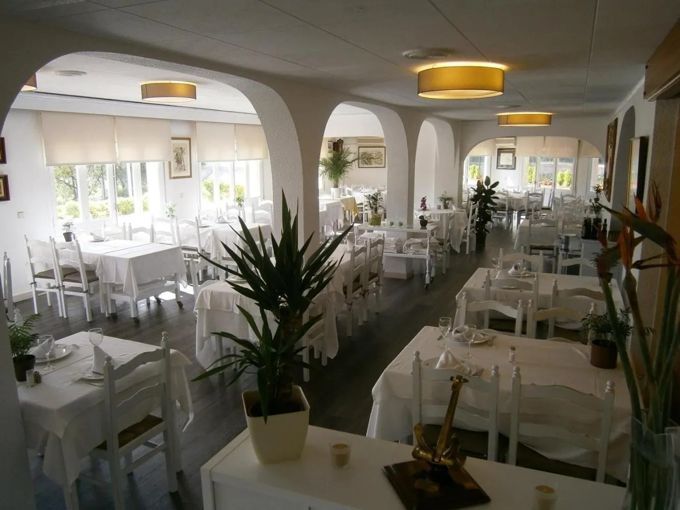 Restaurant/places to eat in Hotel Ancora
