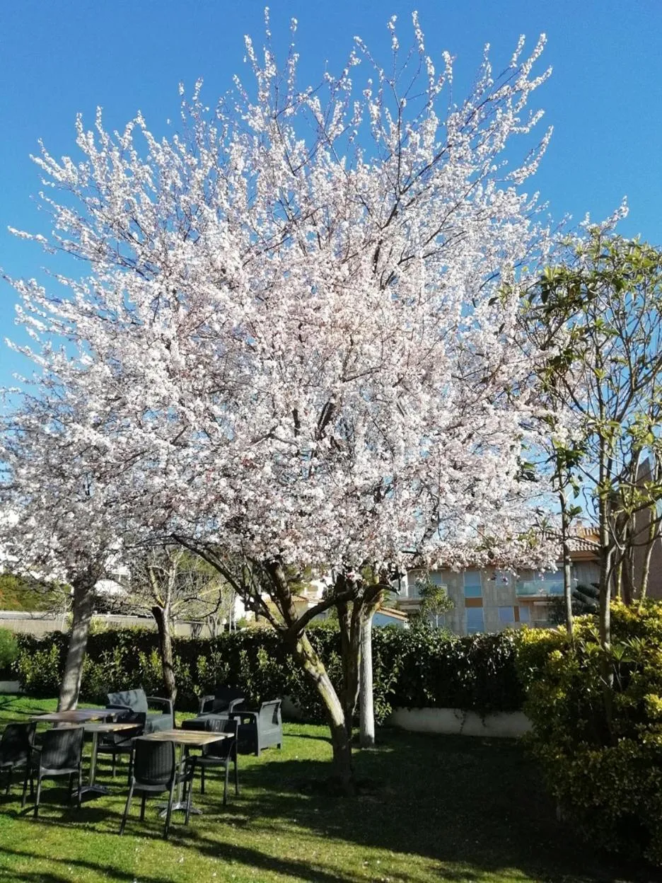 Garden in Hotel Ancora